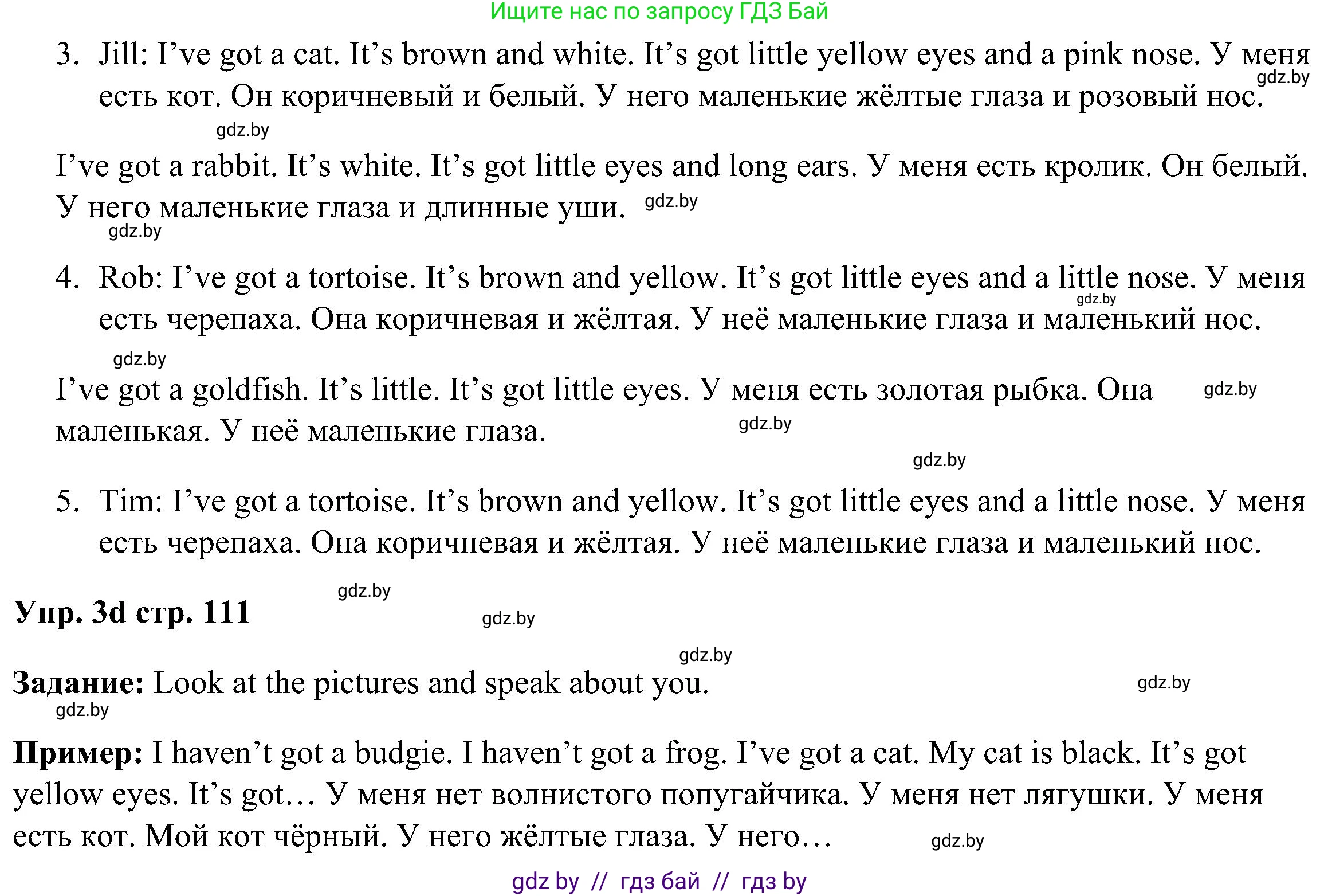Английский язык (english), 3 класс Учебник, авторы: Лапицкая Людмила Михайловна (Lapitskaya Ludmila), Калишевич Алла Ивановна, Севрюкова Татьяна Юрьевна, Седунова Наталья Михайловна (Sedunova Natalia), издательство Вышэйшая школа, Минск, 2023, Часть 1, страница 110, номер 3, Решение (продолжение 2)