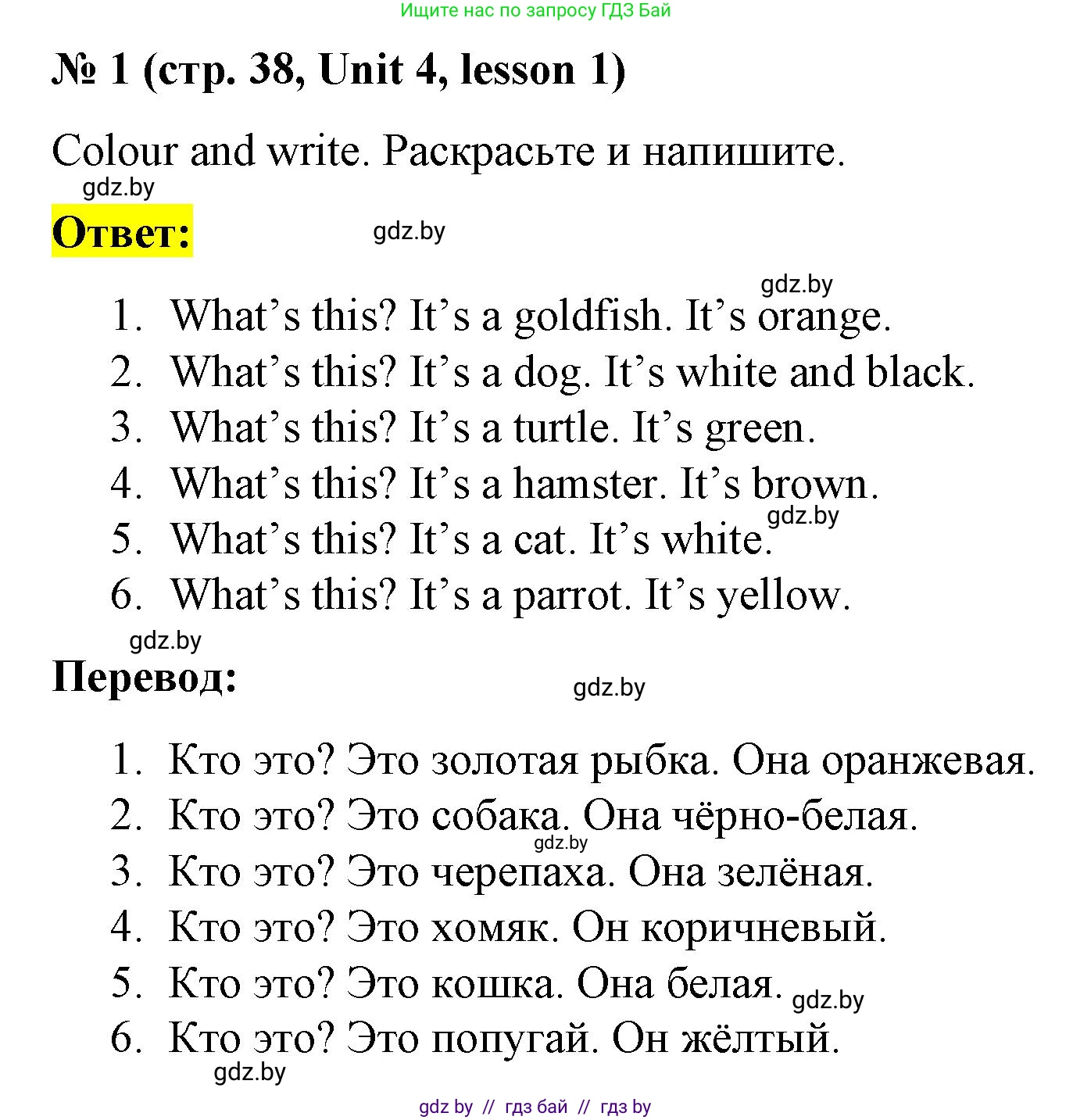 Английский язык (english), 3 класс практикум по грамматике (grammar), автор: Севрюкова Татьяна Юрьевна, издательство Аверсэв, Минск, 2023, салатового цвета, страница 38, номер 1, Решение