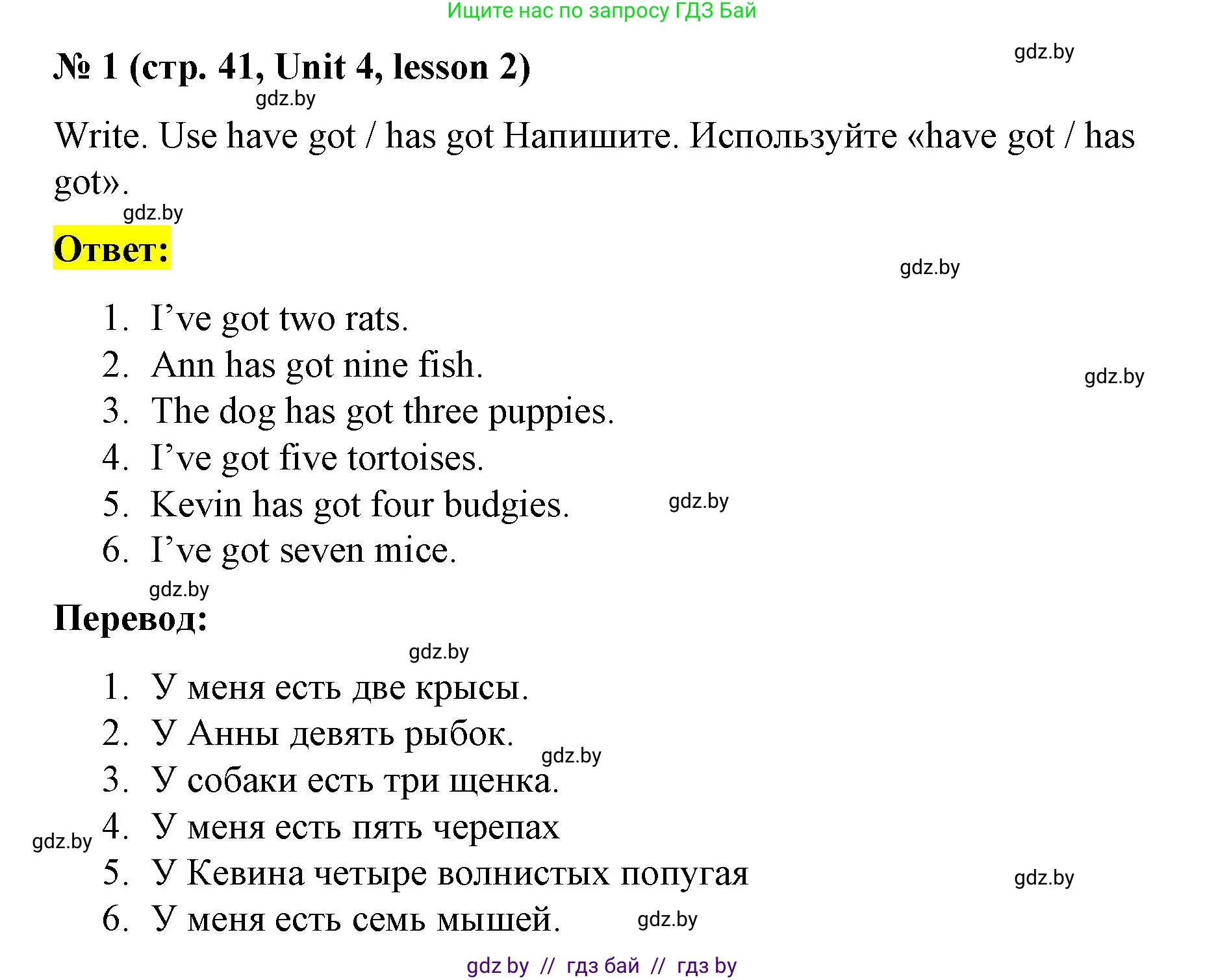 Английский язык (english), 3 класс практикум по грамматике (grammar), автор: Севрюкова Татьяна Юрьевна, издательство Аверсэв, Минск, 2023, салатового цвета, страница 41, номер 1, Решение