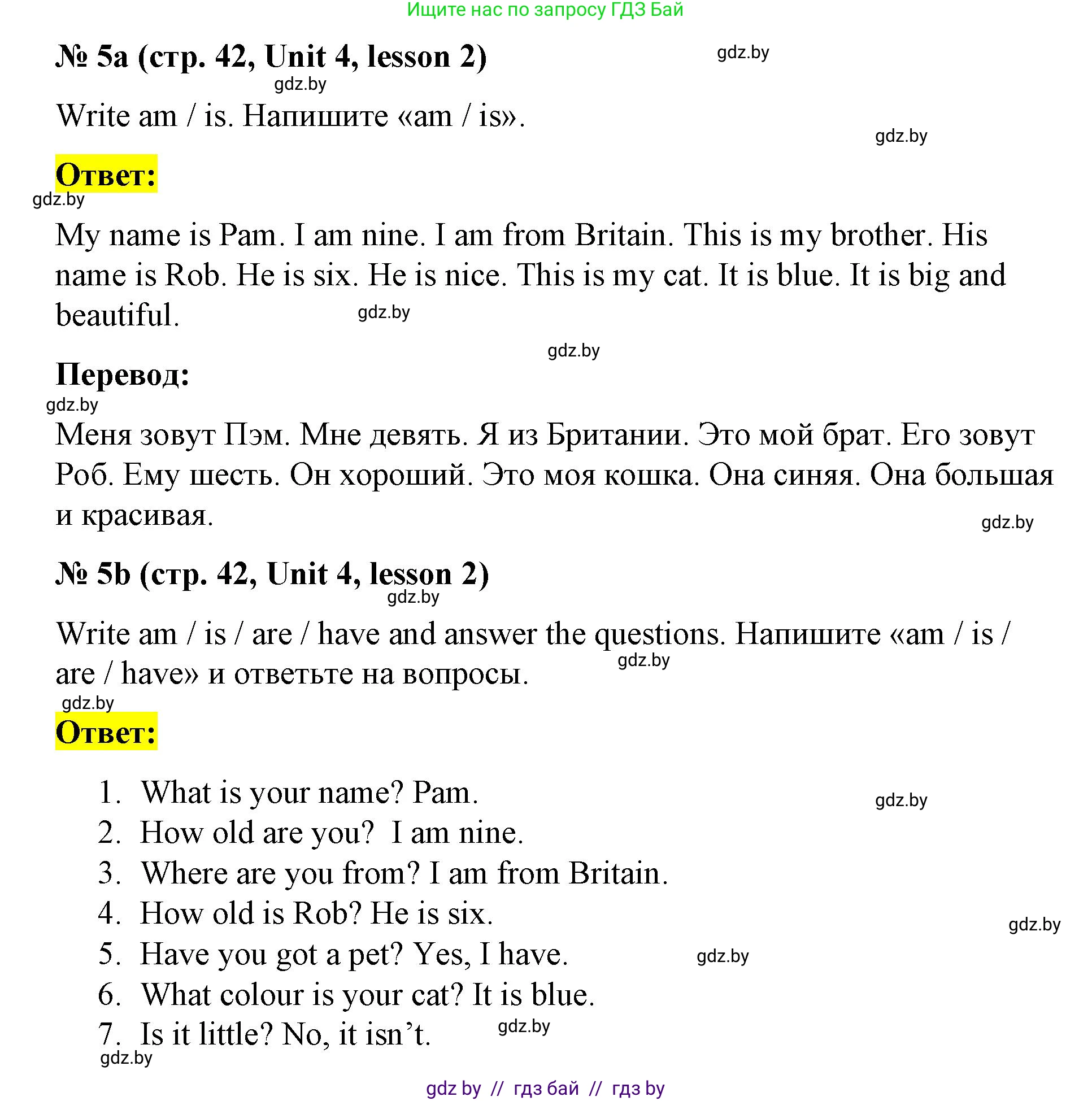 Английский язык (english), 3 класс практикум по грамматике (grammar), автор: Севрюкова Татьяна Юрьевна, издательство Аверсэв, Минск, 2023, салатового цвета, страница 42, номер 5, Решение