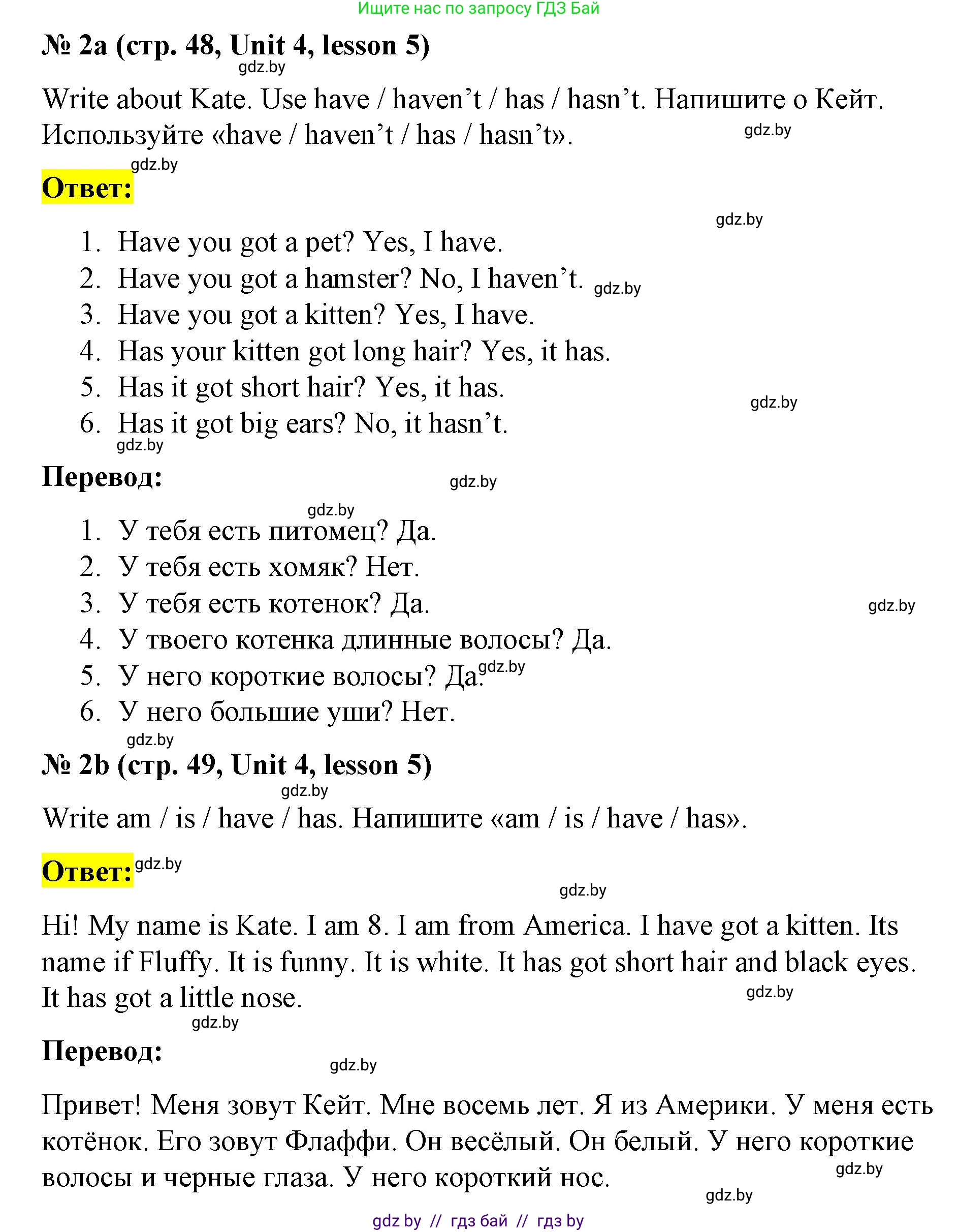 Английский язык (english), 3 класс практикум по грамматике (grammar), автор: Севрюкова Татьяна Юрьевна, издательство Аверсэв, Минск, 2023, салатового цвета, страница 48, номер 2, Решение