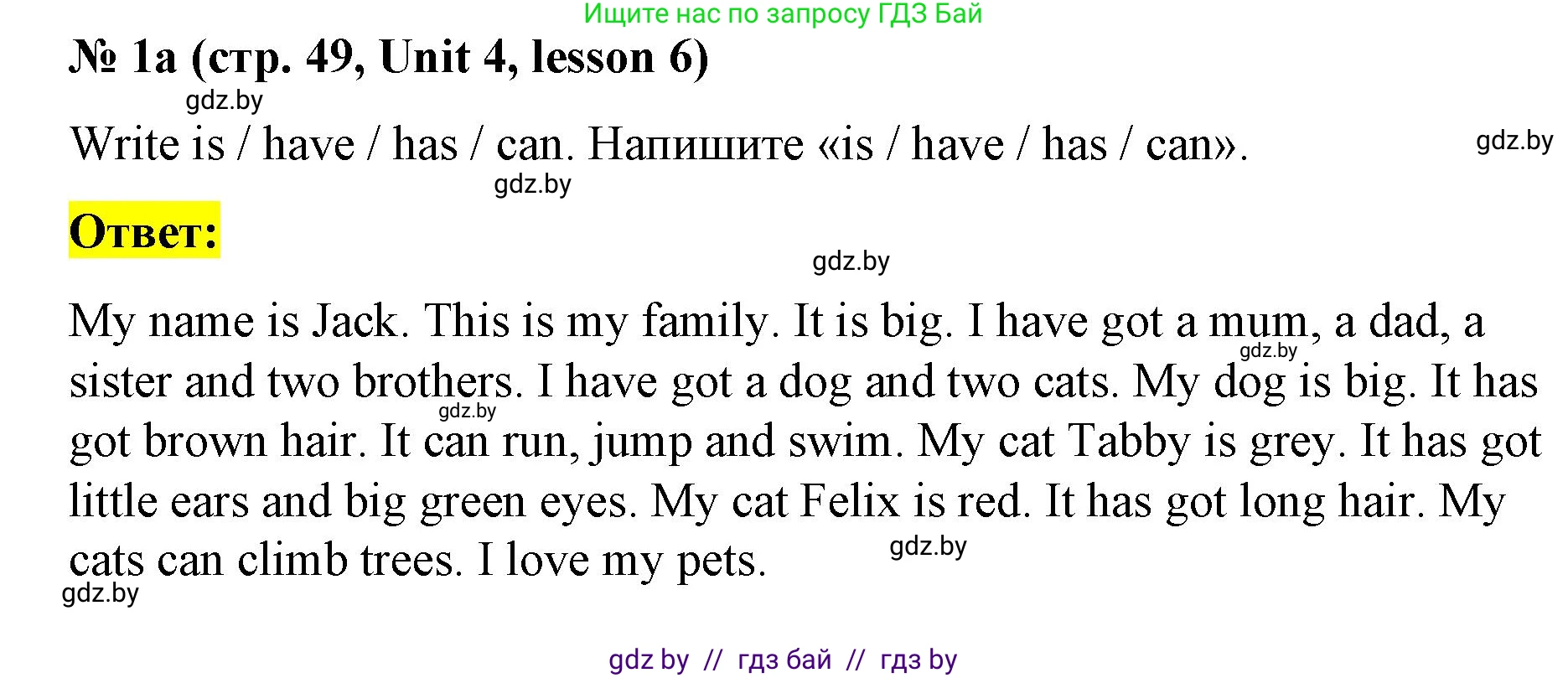 Английский язык (english), 3 класс практикум по грамматике (grammar), автор: Севрюкова Татьяна Юрьевна, издательство Аверсэв, Минск, 2023, салатового цвета, страница 49, номер 1, Решение