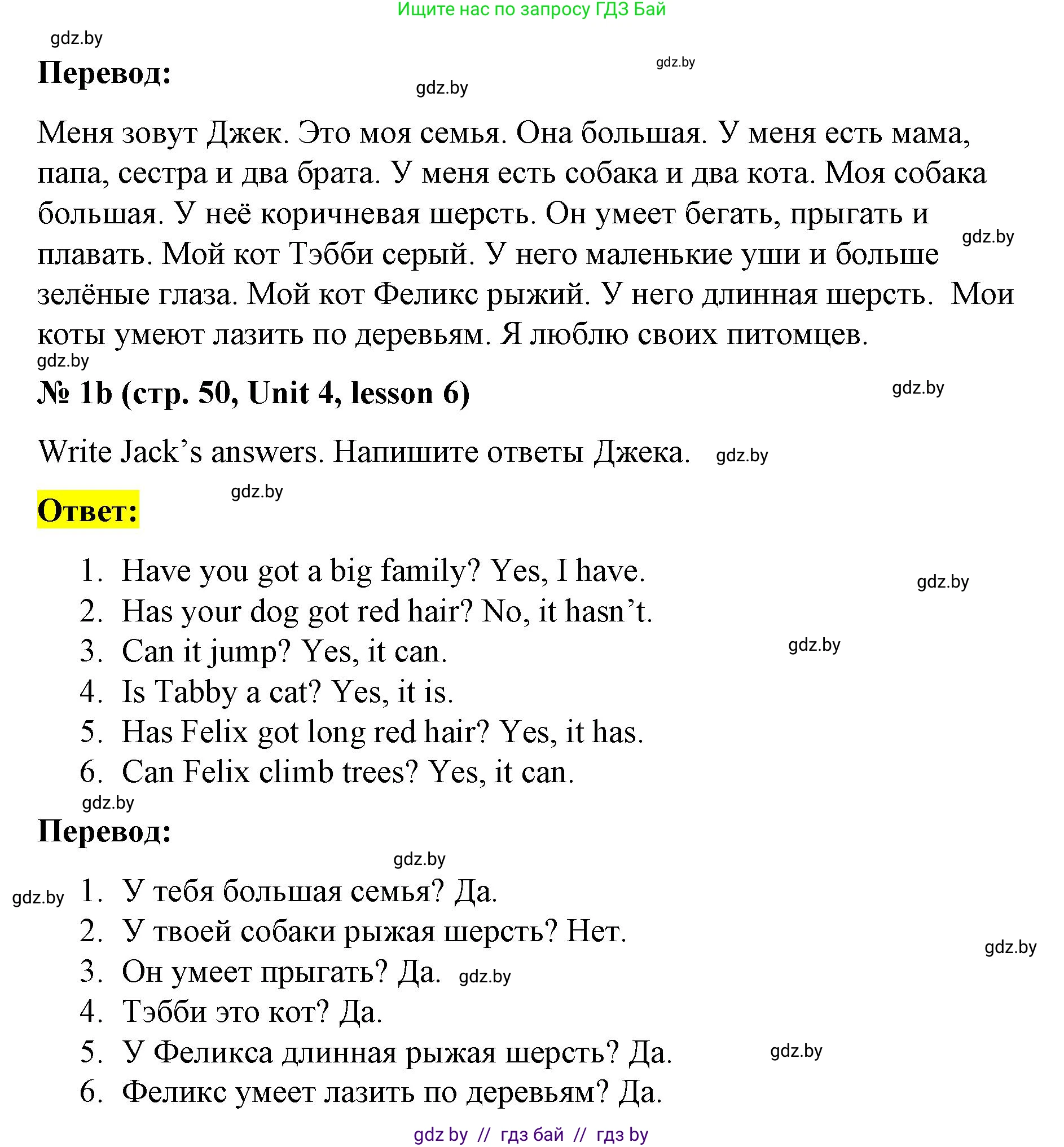 Английский язык (english), 3 класс практикум по грамматике (grammar), автор: Севрюкова Татьяна Юрьевна, издательство Аверсэв, Минск, 2023, салатового цвета, страница 49, номер 1, Решение (продолжение 2)