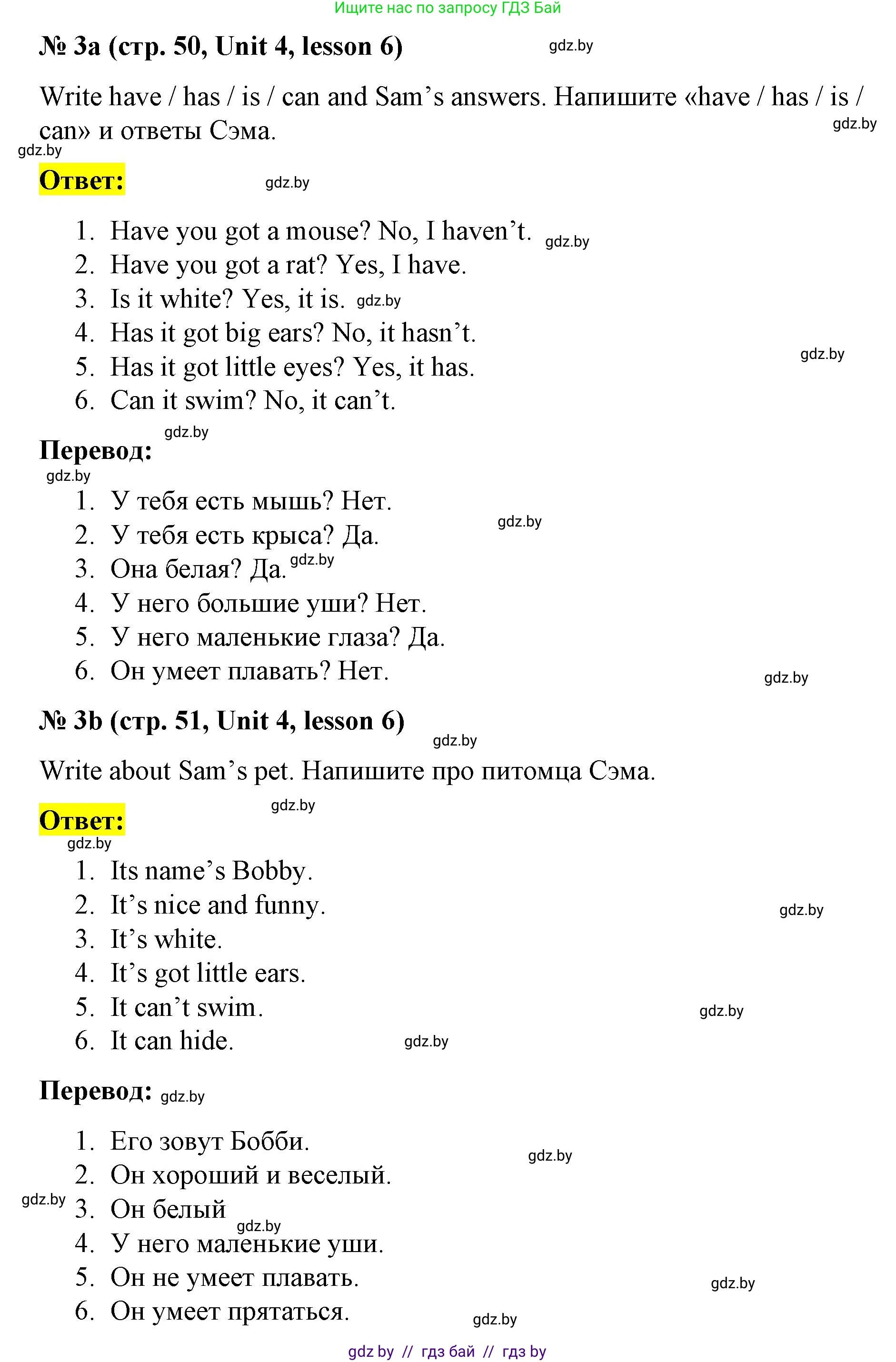 Английский язык (english), 3 класс практикум по грамматике (grammar), автор: Севрюкова Татьяна Юрьевна, издательство Аверсэв, Минск, 2023, салатового цвета, страница 50, номер 3, Решение