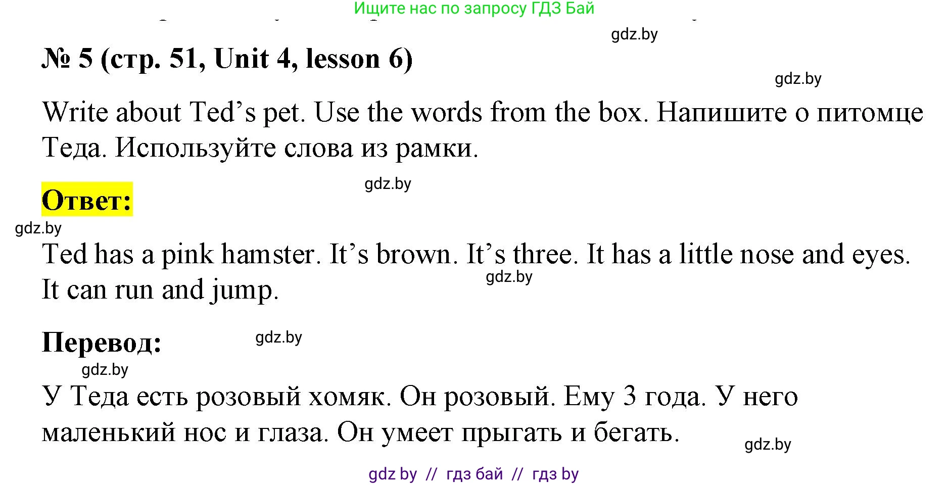 Английский язык (english), 3 класс практикум по грамматике (grammar), автор: Севрюкова Татьяна Юрьевна, издательство Аверсэв, Минск, 2023, салатового цвета, страница 51, номер 5, Решение