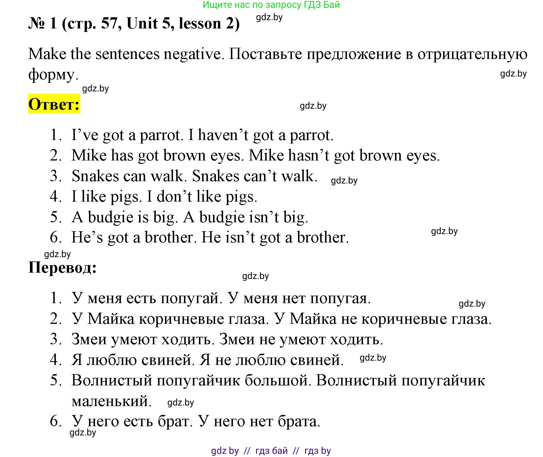 Английский язык (english), 3 класс практикум по грамматике (grammar), автор: Севрюкова Татьяна Юрьевна, издательство Аверсэв, Минск, 2023, салатового цвета, страница 57, номер 1, Решение