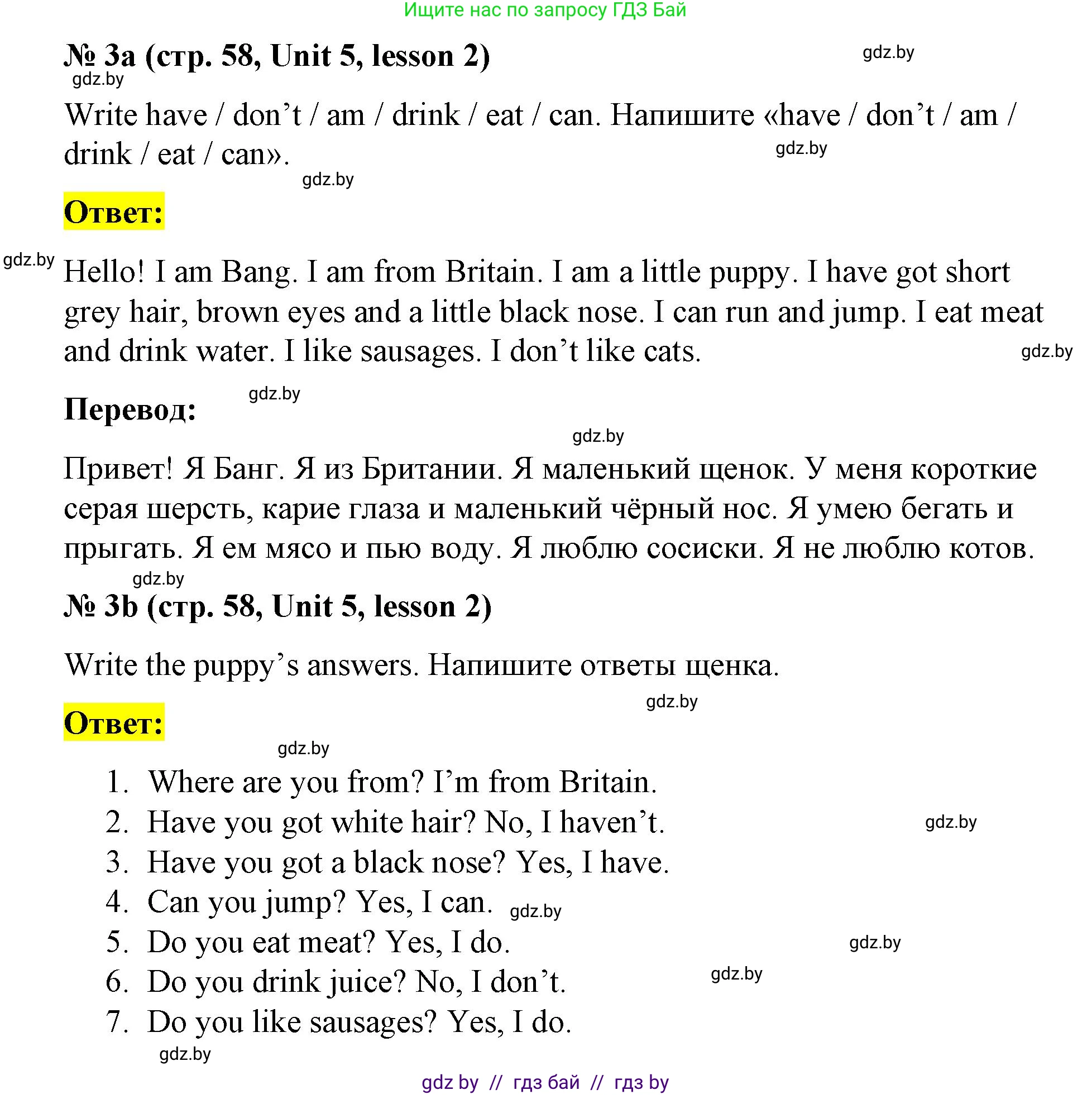 Английский язык (english), 3 класс практикум по грамматике (grammar), автор: Севрюкова Татьяна Юрьевна, издательство Аверсэв, Минск, 2023, салатового цвета, страница 58, номер 3, Решение