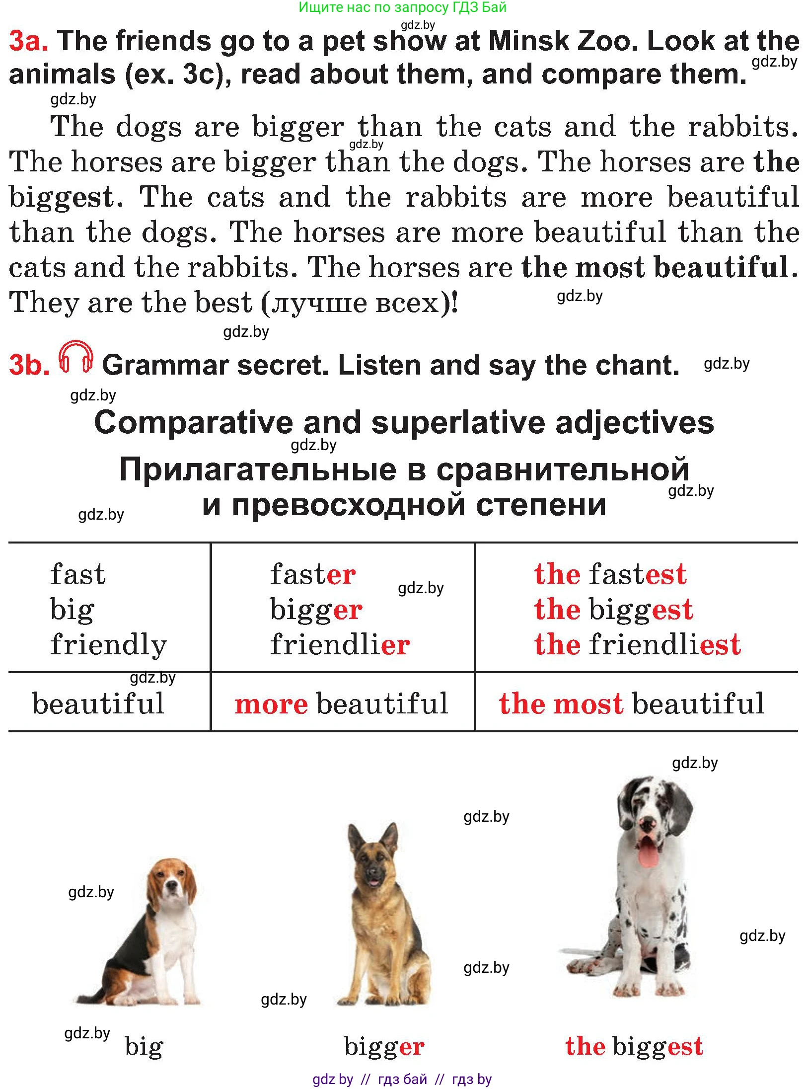 Английский язык (english), 4 класс Учебник (Student's book), авторы: Лапицкая Людмила Михайловна (Lapitskaya Ludmila), Седунова Наталья Михайловна (Sedunova Natalia), издательство Адукацыя i выхаванне, Минск, 2024, бирюзового цвета, Часть ( Part) 1, страница 135, номер 3, Условие