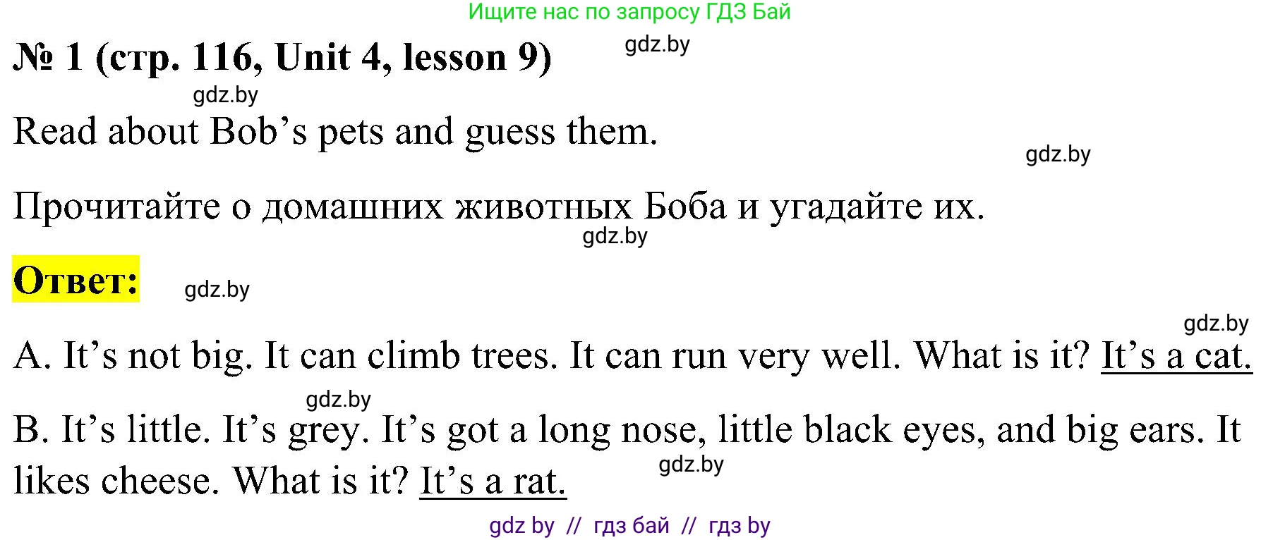 Английский язык (english), 4 класс Учебник (Student's book), авторы: Лапицкая Людмила Михайловна (Lapitskaya Ludmila), Седунова Наталья Михайловна (Sedunova Natalia), издательство Адукацыя i выхаванне, Минск, 2024, бирюзового цвета, Часть ( Part) 1, страница 116, номер 1, Решение 2