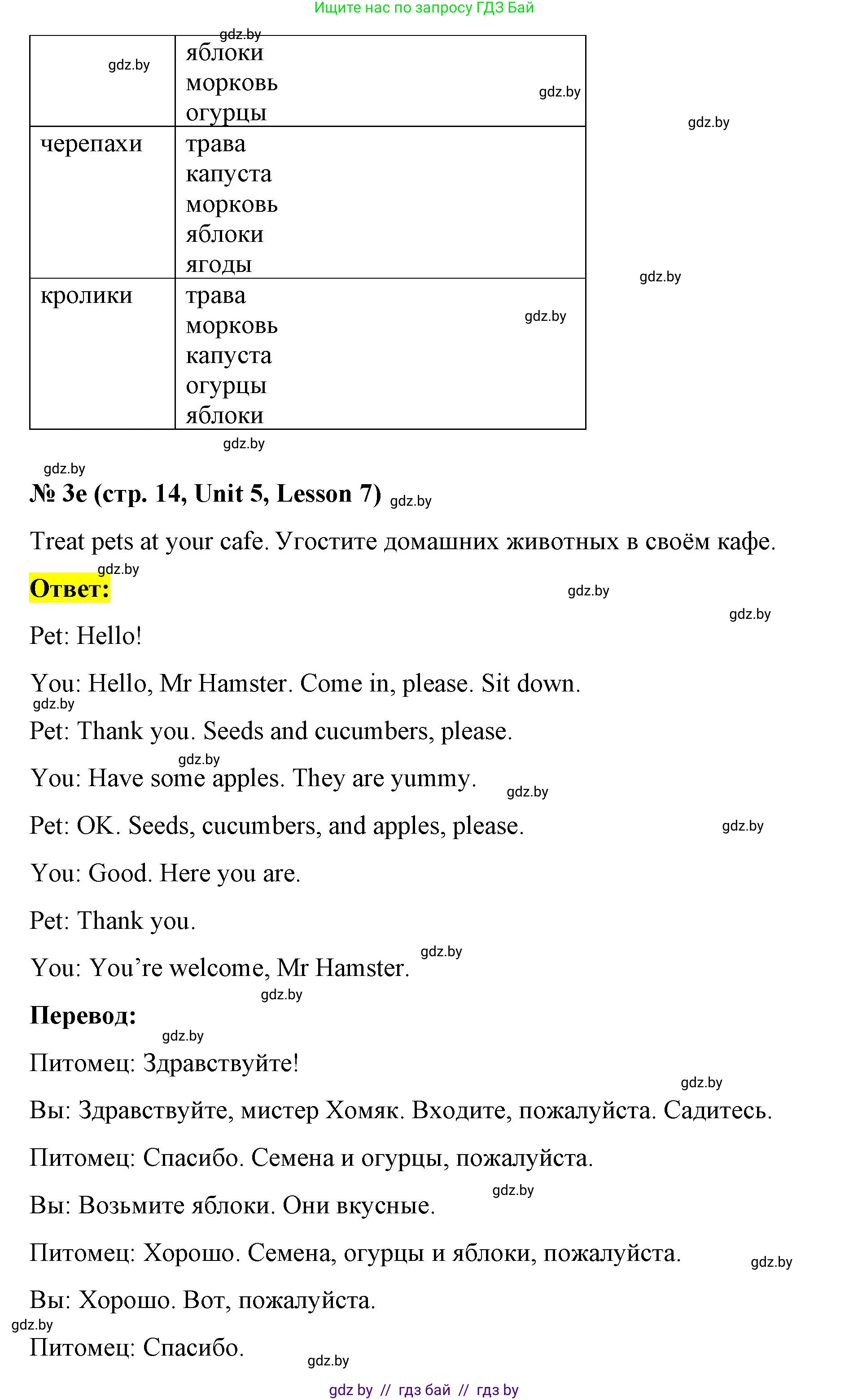 Английский язык (english), 4 класс Учебник (Student's book), авторы: Лапицкая Людмила Михайловна (Lapitskaya Ludmila), Седунова Наталья Михайловна (Sedunova Natalia), издательство Адукацыя i выхаванне, Минск, 2024, бирюзового цвета, Часть ( Part) 2, страница 13, номер 3, Решение 2 (продолжение 5)