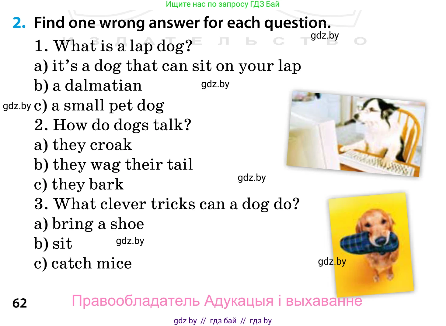 Английский язык (english), 5 класс Учебник, авторы: Демченко Наталья Валентиновна, Севрюкова Татьяна Юрьевна, Наумова Елена Георгиевна, Юхнель Наталья Валентиновна, Лапицкая Людмила Михайловна (Lapitskaya Ludmila), издательство Адукацыя i выхаванне, Минск, 2017, Часть ( Part) 1, страница 62, номер 2, Условие