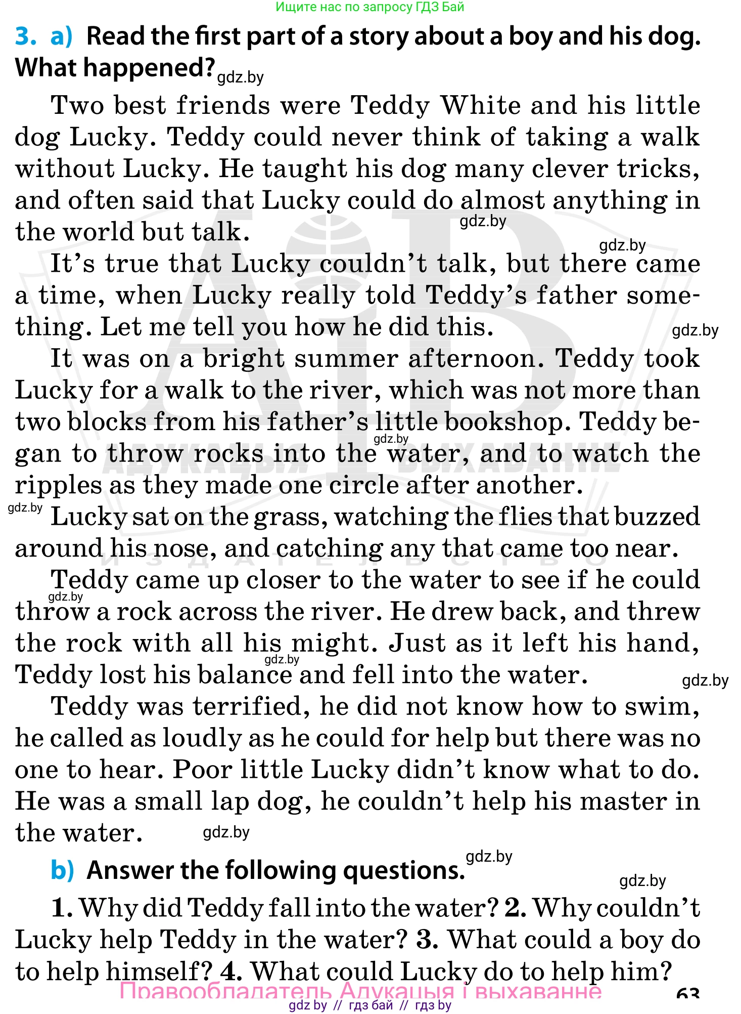 Английский язык (english), 5 класс Учебник, авторы: Демченко Наталья Валентиновна, Севрюкова Татьяна Юрьевна, Наумова Елена Георгиевна, Юхнель Наталья Валентиновна, Лапицкая Людмила Михайловна (Lapitskaya Ludmila), издательство Адукацыя i выхаванне, Минск, 2017, Часть ( Part) 1, страница 63, номер 3, Условие