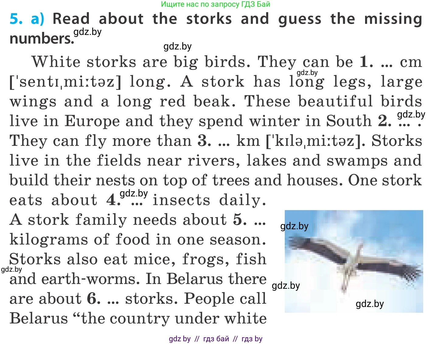 Английский язык (english), 5 класс Учебник, авторы: Демченко Наталья Валентиновна, Севрюкова Татьяна Юрьевна, Наумова Елена Георгиевна, Юхнель Наталья Валентиновна, Лапицкая Людмила Михайловна (Lapitskaya Ludmila), издательство Адукацыя i выхаванне, Минск, 2017, Часть ( Part) 2, страница 60, номер 5, Условие