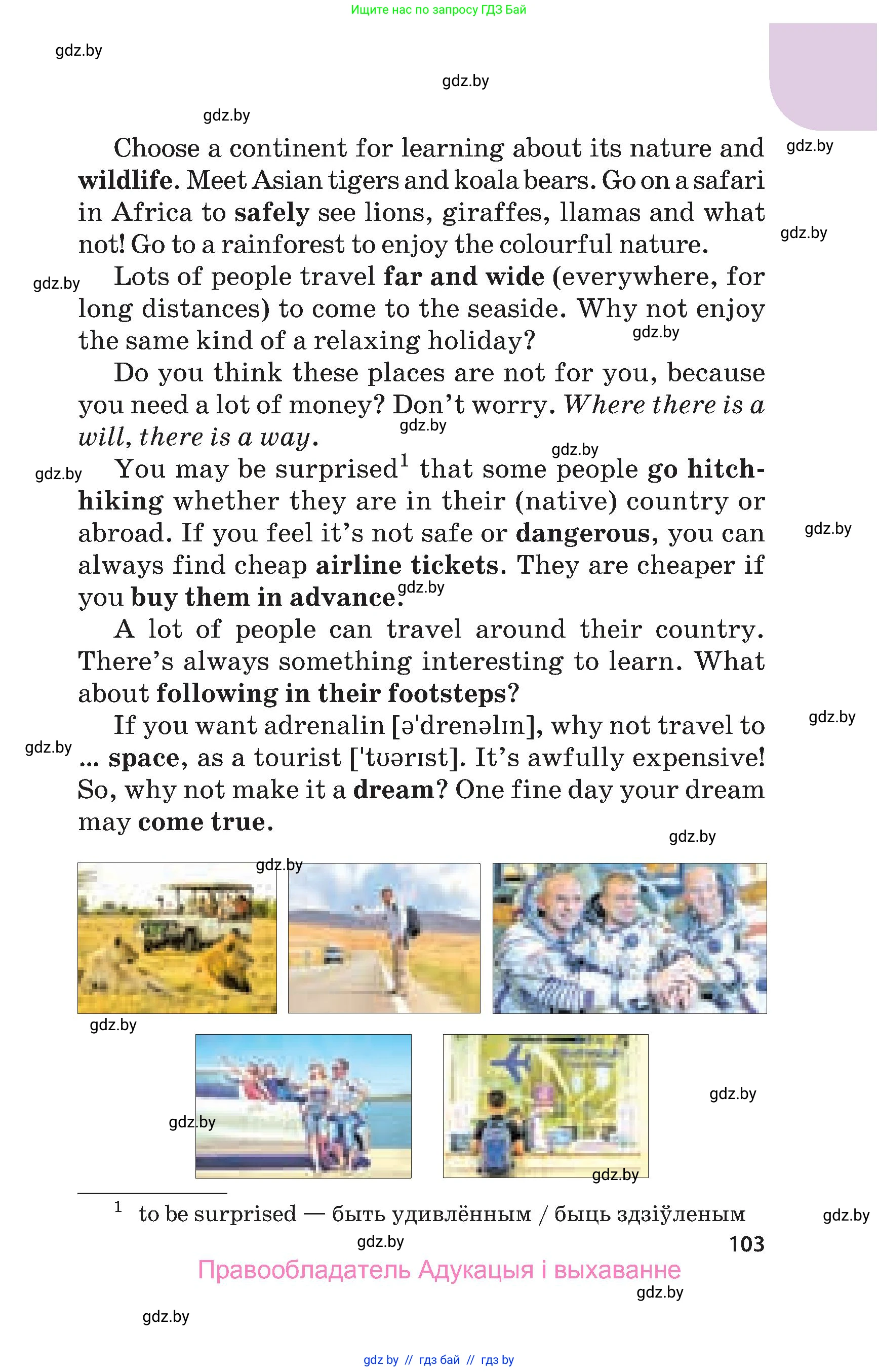 Английский язык (english), 5 класс Учебник, авторы: Демченко Наталья Валентиновна, Севрюкова Татьяна Юрьевна, Наумова Елена Георгиевна, Юхнель Наталья Валентиновна, Лапицкая Людмила Михайловна (Lapitskaya Ludmila), издательство Адукацыя i выхаванне, Минск, 2017, Часть ( Part) 1, страница 103