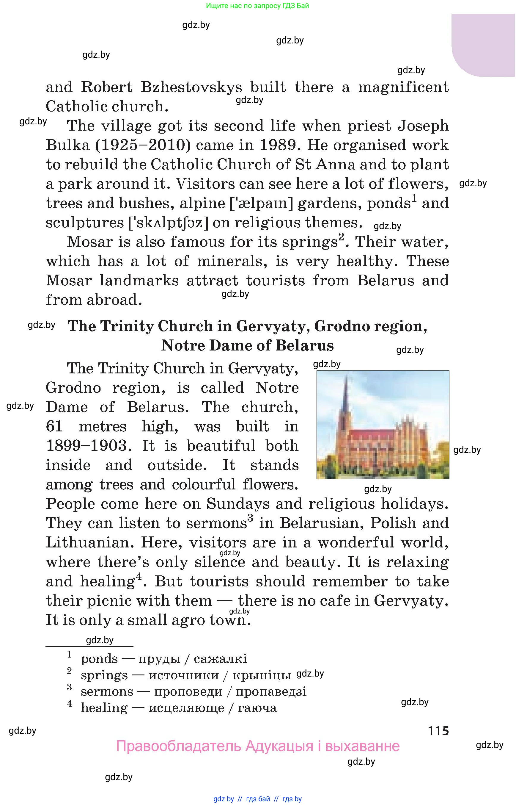 Английский язык (english), 5 класс Учебник, авторы: Демченко Наталья Валентиновна, Севрюкова Татьяна Юрьевна, Наумова Елена Георгиевна, Юхнель Наталья Валентиновна, Лапицкая Людмила Михайловна (Lapitskaya Ludmila), издательство Адукацыя i выхаванне, Минск, 2017, Часть ( Part) 1, страница 115