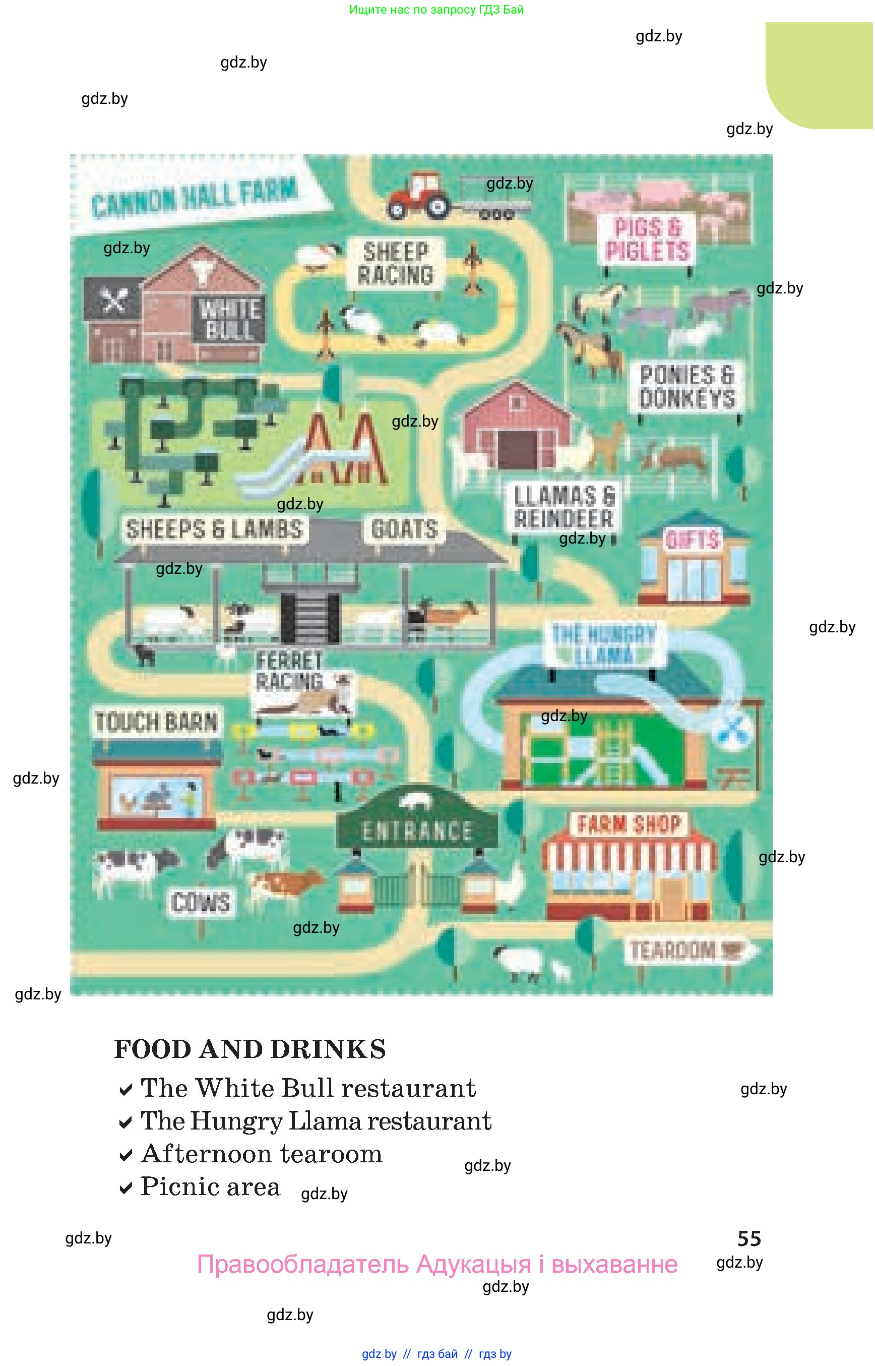 Английский язык (english), 5 класс Учебник, авторы: Демченко Наталья Валентиновна, Севрюкова Татьяна Юрьевна, Наумова Елена Георгиевна, Юхнель Наталья Валентиновна, Лапицкая Людмила Михайловна (Lapitskaya Ludmila), издательство Адукацыя i выхаванне, Минск, 2017, Часть ( Part) 1, страница 55