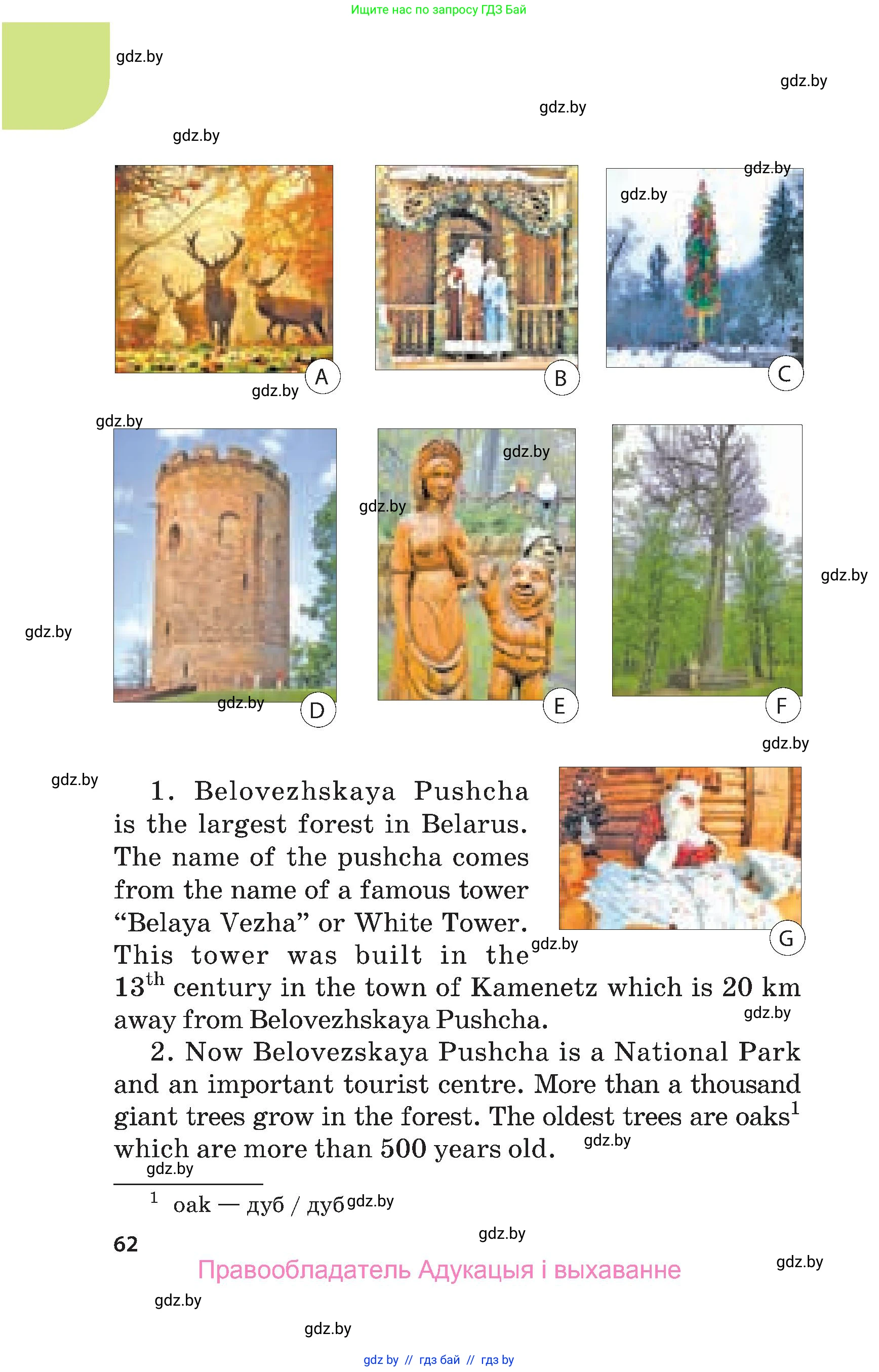 Английский язык (english), 5 класс Учебник, авторы: Демченко Наталья Валентиновна, Севрюкова Татьяна Юрьевна, Наумова Елена Георгиевна, Юхнель Наталья Валентиновна, Лапицкая Людмила Михайловна (Lapitskaya Ludmila), издательство Адукацыя i выхаванне, Минск, 2017, Часть ( Part) 1, страница 62