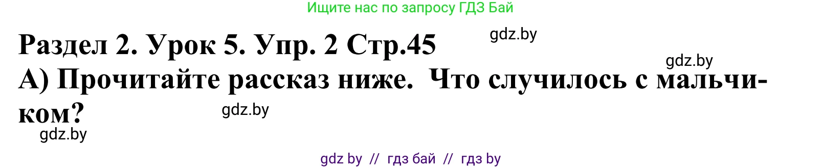 Английский язык (english), 5 класс Учебник, авторы: Демченко Наталья Валентиновна, Севрюкова Татьяна Юрьевна, Наумова Елена Георгиевна, Юхнель Наталья Валентиновна, Лапицкая Людмила Михайловна (Lapitskaya Ludmila), издательство Адукацыя i выхаванне, Минск, 2017, Часть ( Part) 1, страница 45, номер 2, Решение 2