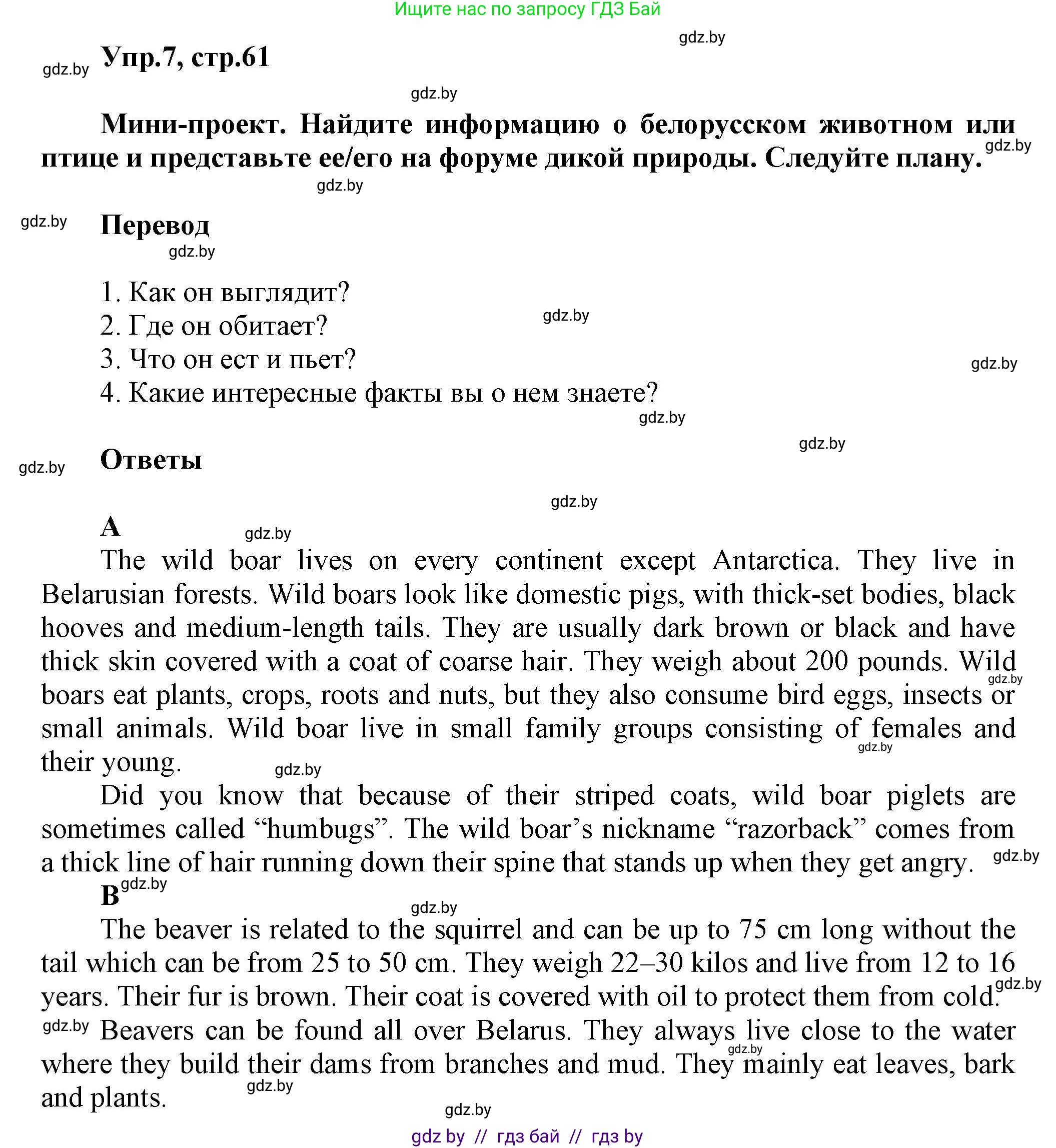 Английский язык (english), 5 класс Учебник, авторы: Демченко Наталья Валентиновна, Севрюкова Татьяна Юрьевна, Наумова Елена Георгиевна, Юхнель Наталья Валентиновна, Лапицкая Людмила Михайловна (Lapitskaya Ludmila), издательство Адукацыя i выхаванне, Минск, 2017, Часть ( Part) 2, страница 61, номер 7, Решение 1