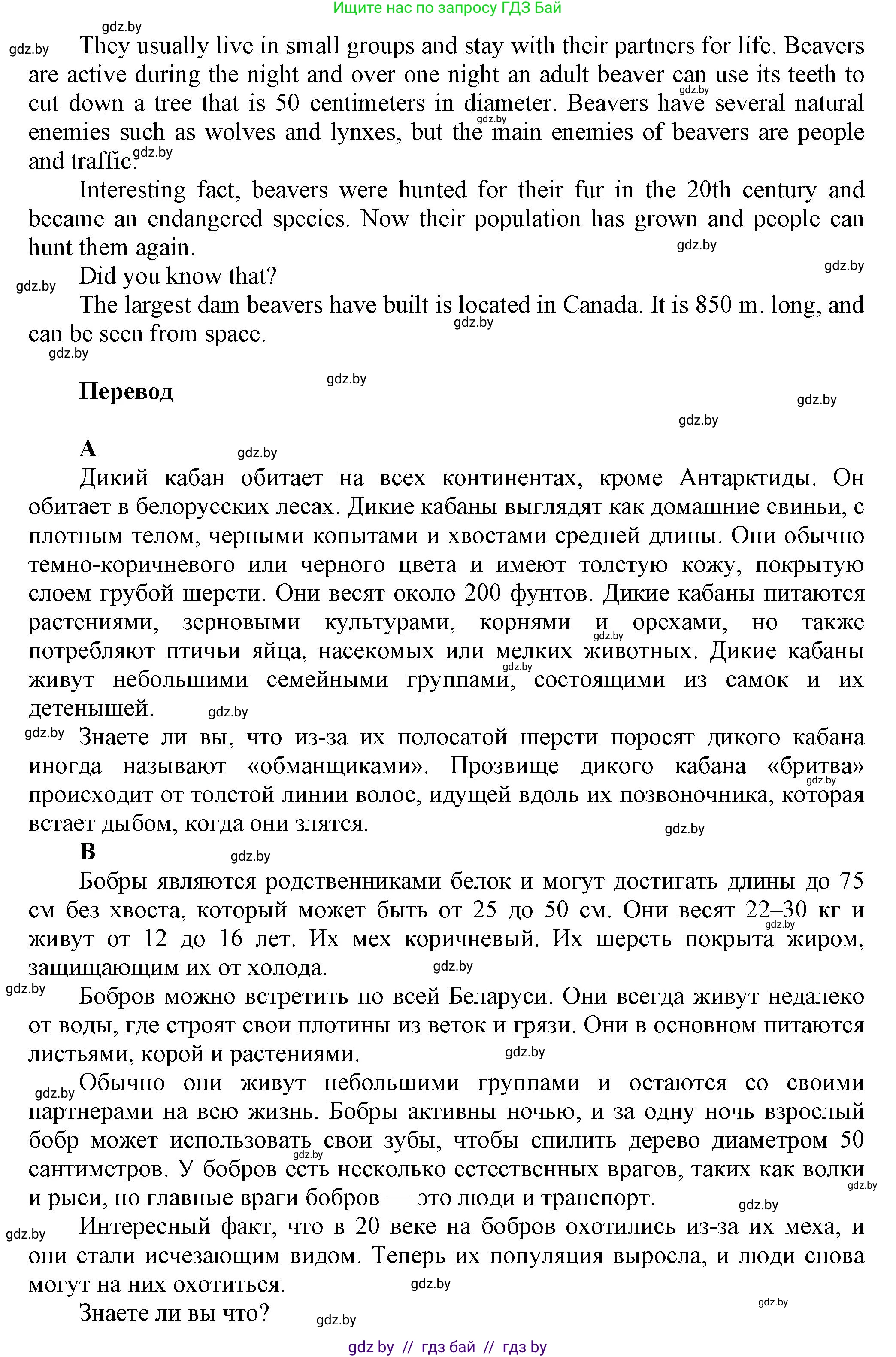 Английский язык (english), 5 класс Учебник, авторы: Демченко Наталья Валентиновна, Севрюкова Татьяна Юрьевна, Наумова Елена Георгиевна, Юхнель Наталья Валентиновна, Лапицкая Людмила Михайловна (Lapitskaya Ludmila), издательство Адукацыя i выхаванне, Минск, 2017, Часть ( Part) 2, страница 61, номер 7, Решение 1 (продолжение 2)