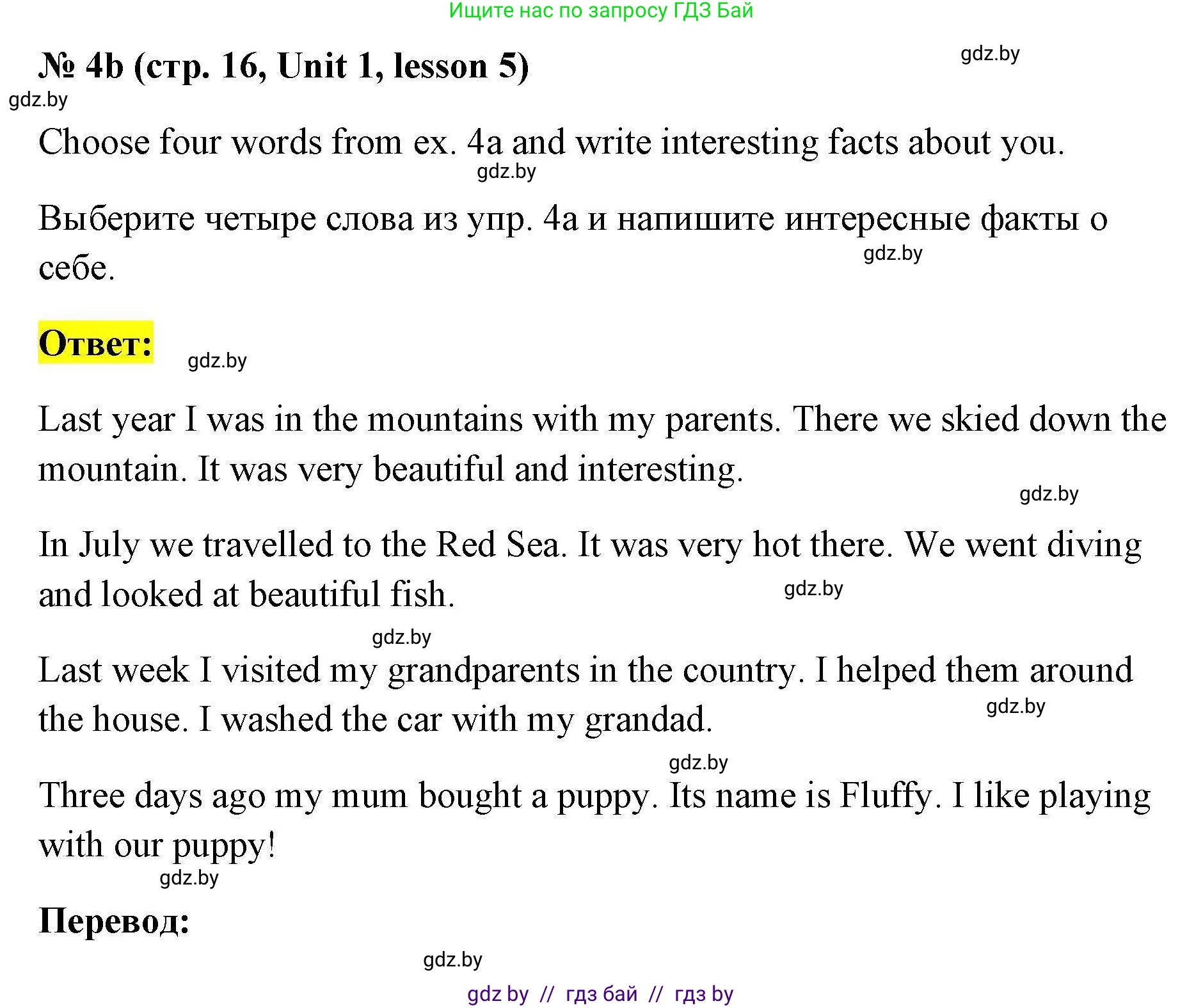 Английский язык (english), 5 класс Рабочая тетрадь (workbook), авторы: Лапицкая Людмила Михайловна (Lapitskaya Ludmila), Калишевич Алла Ивановна, Севрюкова Татьяна Юрьевна, Седунова Наталья Михайловна (Sedunova Natalia), издательство Аверсэв, Минск, 2020, оранжевого цвета, Часть 1, страница 16, номер 4b, Решение