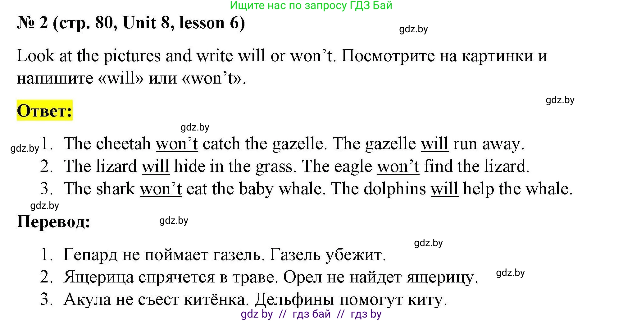 Английский язык (english), 5 класс Рабочая тетрадь (workbook), авторы: Лапицкая Людмила Михайловна (Lapitskaya Ludmila), Калишевич Алла Ивановна, Севрюкова Татьяна Юрьевна, Седунова Наталья Михайловна (Sedunova Natalia), издательство Аверсэв, Минск, 2020, оранжевого цвета, Часть 2, страница 80, номер 2, Решение