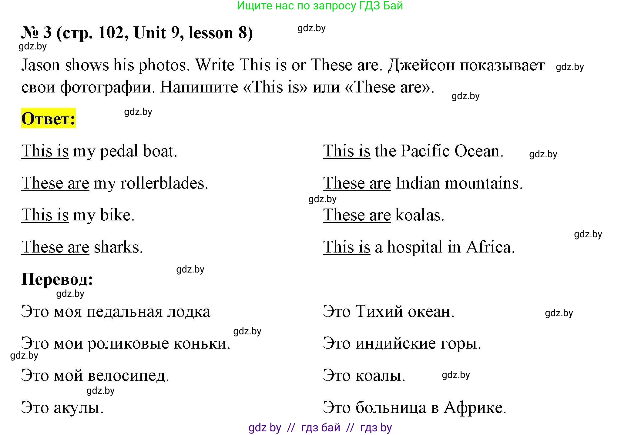 Английский язык (english), 5 класс Рабочая тетрадь (workbook), авторы: Лапицкая Людмила Михайловна (Lapitskaya Ludmila), Калишевич Алла Ивановна, Севрюкова Татьяна Юрьевна, Седунова Наталья Михайловна (Sedunova Natalia), издательство Аверсэв, Минск, 2020, оранжевого цвета, Часть 2, страница 102, номер 3, Решение