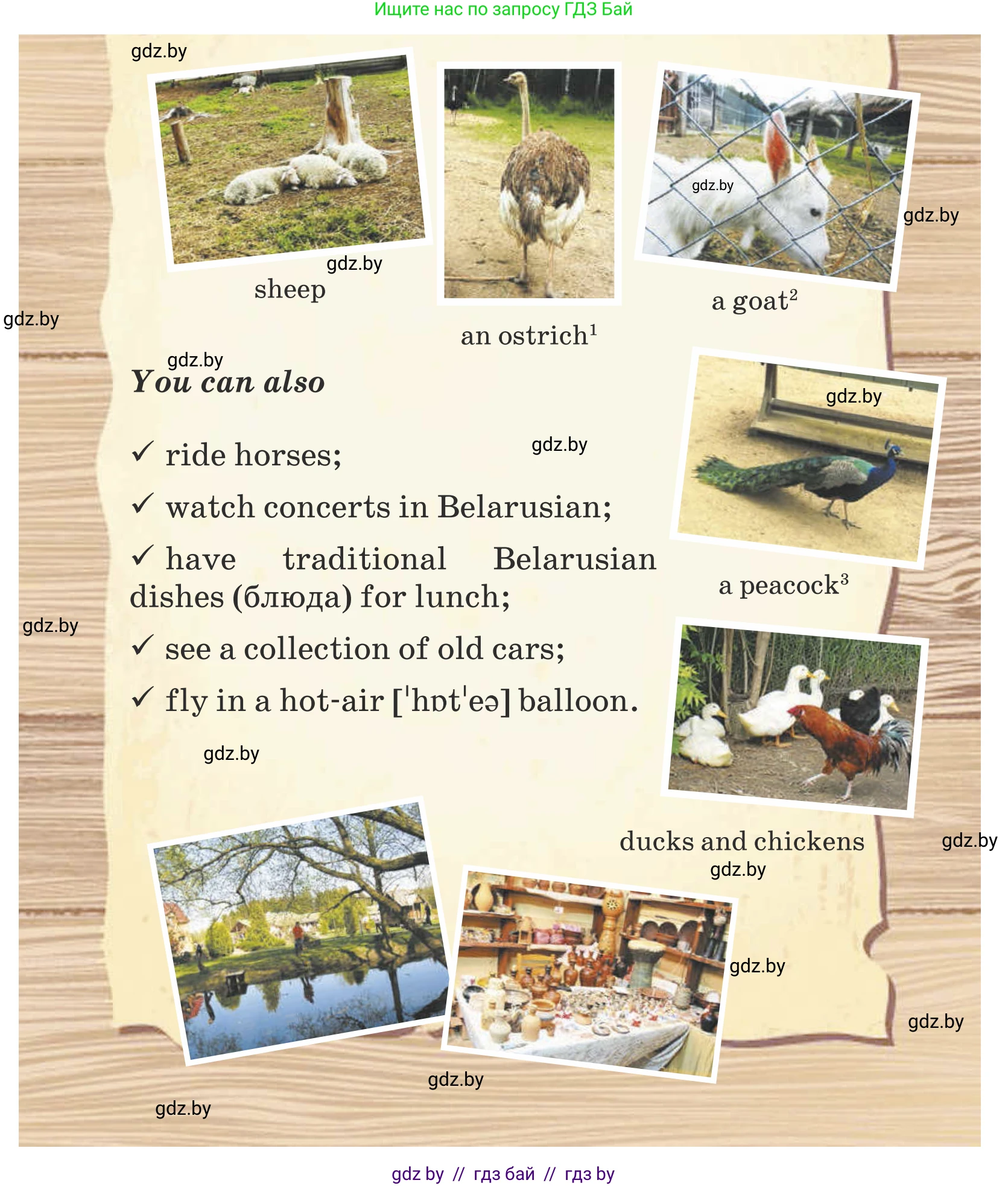 Английский язык (english), 5 класс Учебник (Student's book), авторы: Лапицкая Людмила Михайловна (Lapitskaya Ludmila), Калишевич Алла Ивановна, Севрюкова Татьяна Юрьевна, Седунова Наталья Михайловна (Sedunova Natalia), издательство Вышэйшая школа, Минск, 2020, Часть 1, страница 56, номер 1, Условие (продолжение 3)