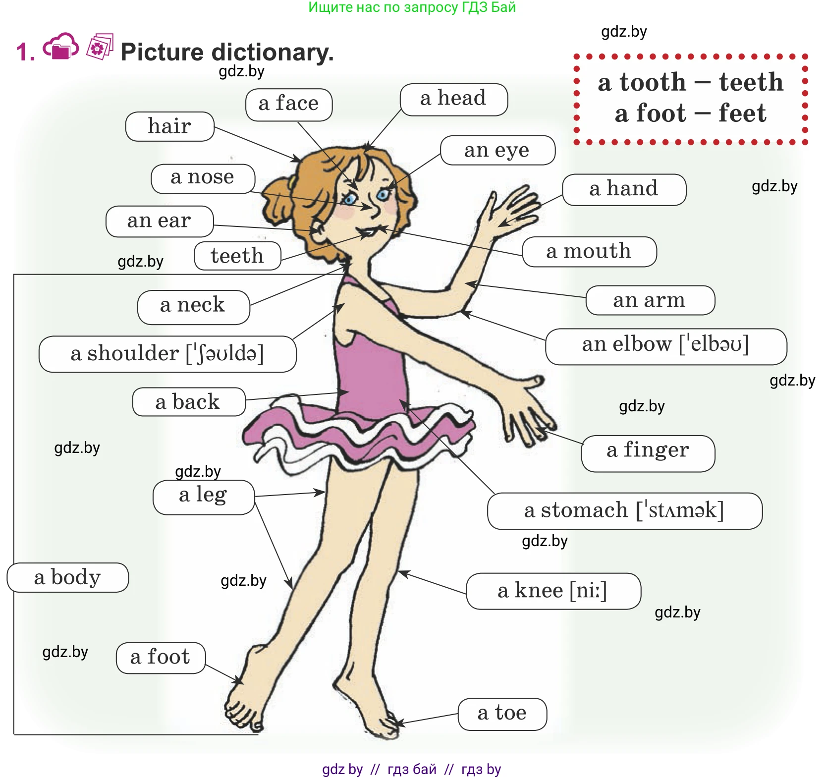 Английский язык (english), 5 класс Учебник (Student's book), авторы: Лапицкая Людмила Михайловна (Lapitskaya Ludmila), Калишевич Алла Ивановна, Севрюкова Татьяна Юрьевна, Седунова Наталья Михайловна (Sedunova Natalia), издательство Вышэйшая школа, Минск, 2020, Часть 2, страница 16, номер 1, Условие