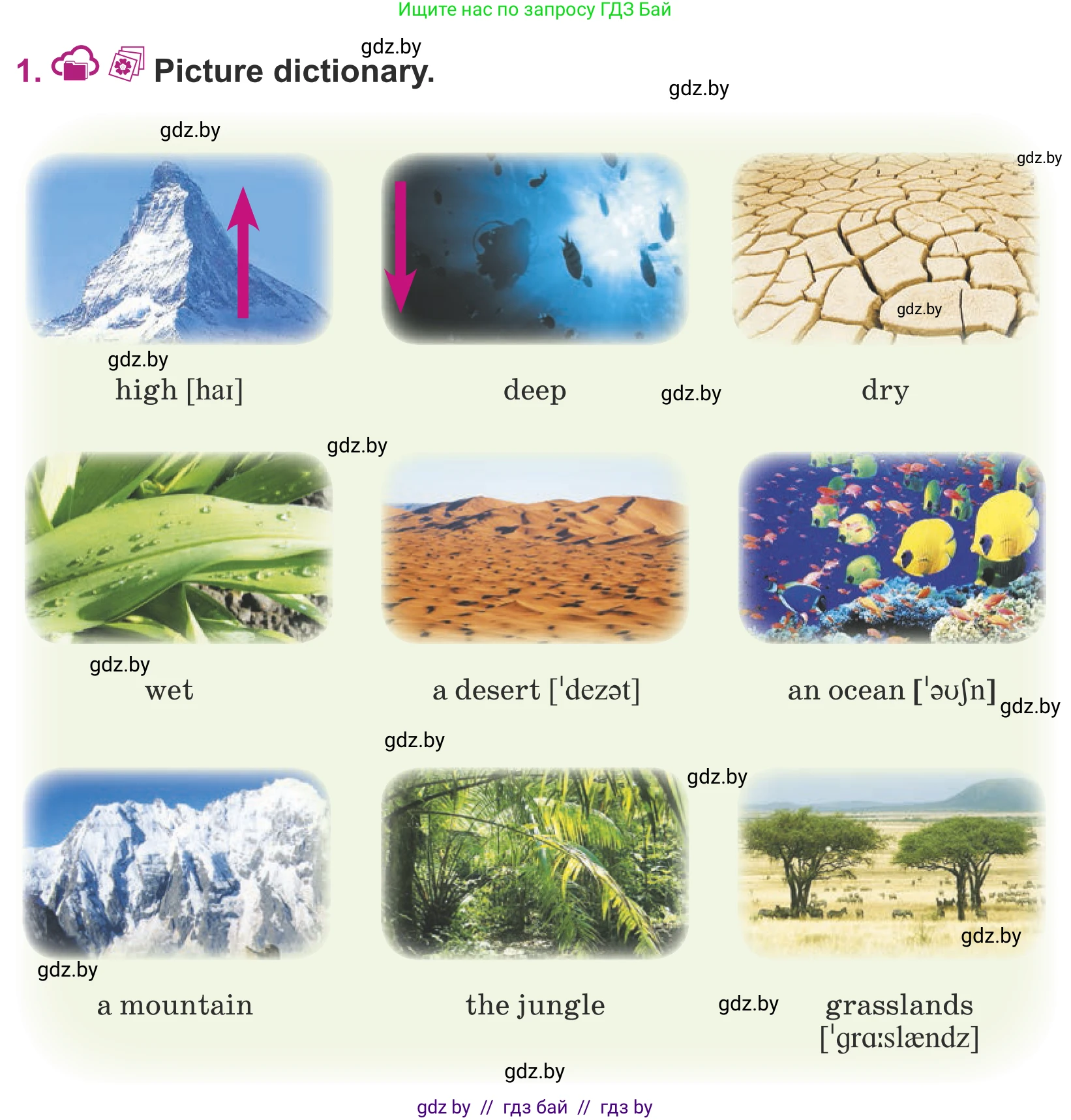 Английский язык (english), 5 класс Учебник (Student's book), авторы: Лапицкая Людмила Михайловна (Lapitskaya Ludmila), Калишевич Алла Ивановна, Севрюкова Татьяна Юрьевна, Седунова Наталья Михайловна (Sedunova Natalia), издательство Вышэйшая школа, Минск, 2020, Часть 2, страница 81, номер 1, Условие
