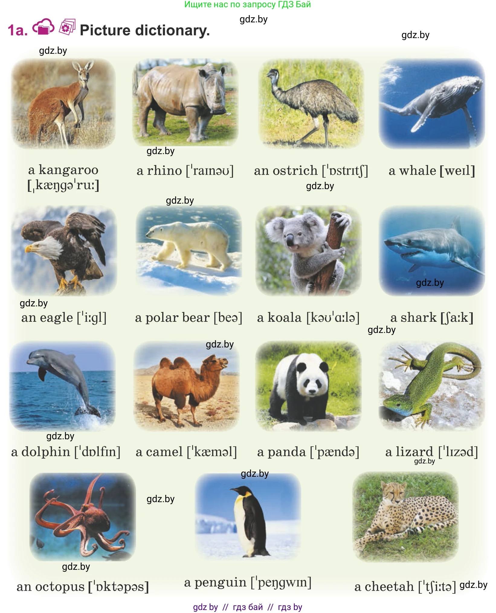 Английский язык (english), 5 класс Учебник (Student's book), авторы: Лапицкая Людмила Михайловна (Lapitskaya Ludmila), Калишевич Алла Ивановна, Севрюкова Татьяна Юрьевна, Седунова Наталья Михайловна (Sedunova Natalia), издательство Вышэйшая школа, Минск, 2020, Часть 2, страница 84, номер 1, Условие