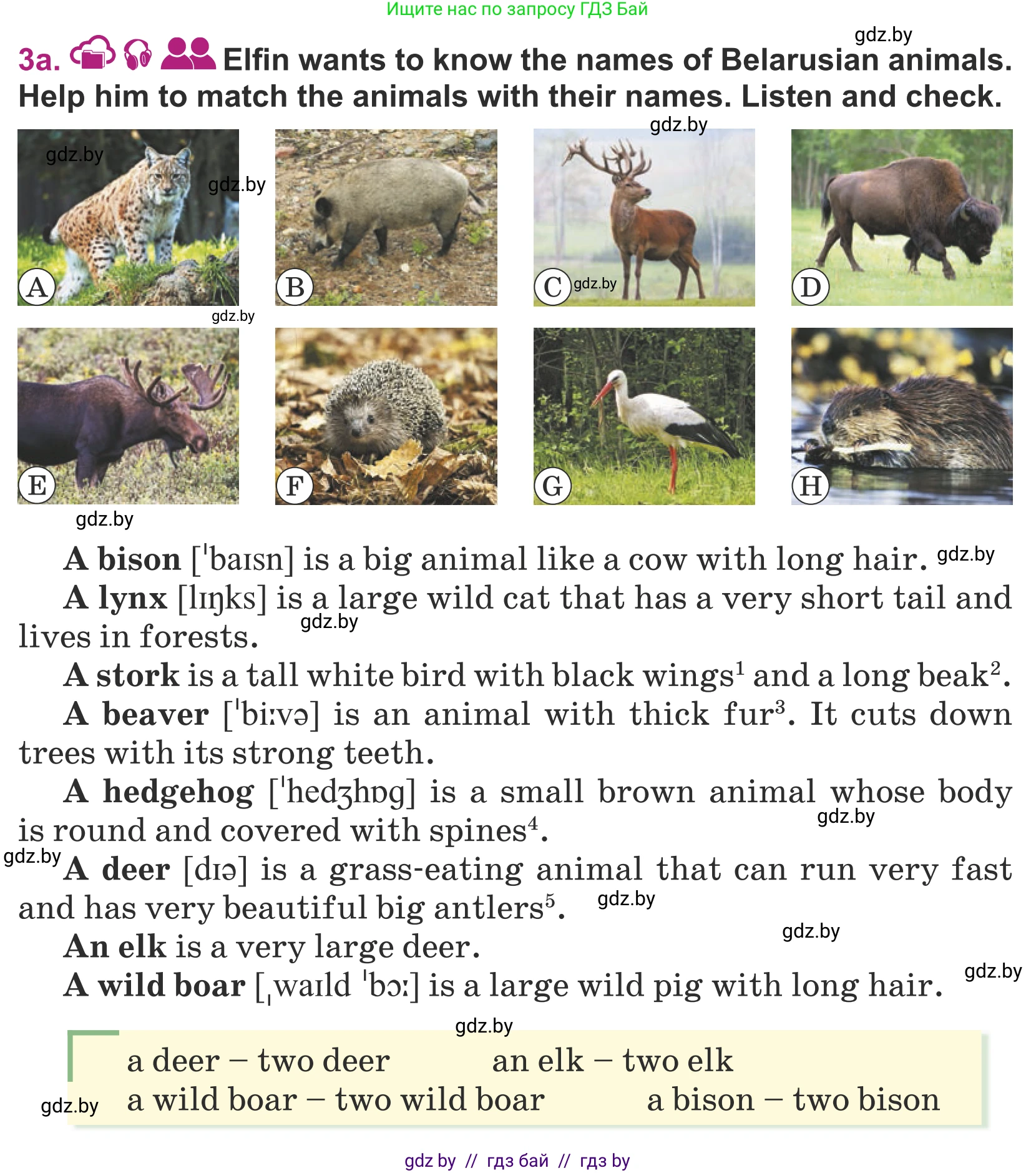 Английский язык (english), 5 класс Учебник (Student's book), авторы: Лапицкая Людмила Михайловна (Lapitskaya Ludmila), Калишевич Алла Ивановна, Севрюкова Татьяна Юрьевна, Седунова Наталья Михайловна (Sedunova Natalia), издательство Вышэйшая школа, Минск, 2020, Часть 2, страница 88, номер 3, Условие