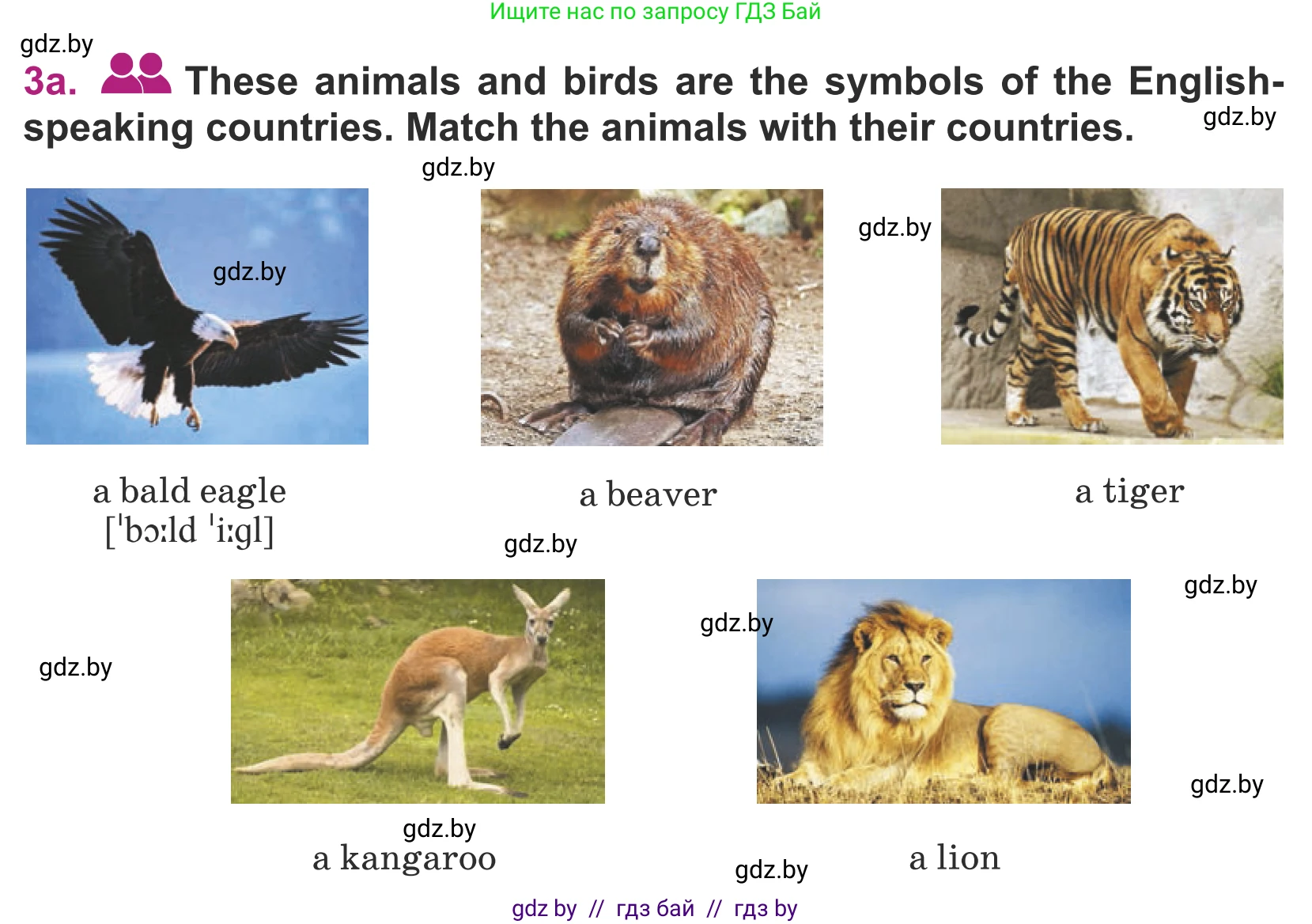 Английский язык (english), 5 класс Учебник (Student's book), авторы: Лапицкая Людмила Михайловна (Lapitskaya Ludmila), Калишевич Алла Ивановна, Севрюкова Татьяна Юрьевна, Седунова Наталья Михайловна (Sedunova Natalia), издательство Вышэйшая школа, Минск, 2020, Часть 2, страница 107, номер 3, Условие