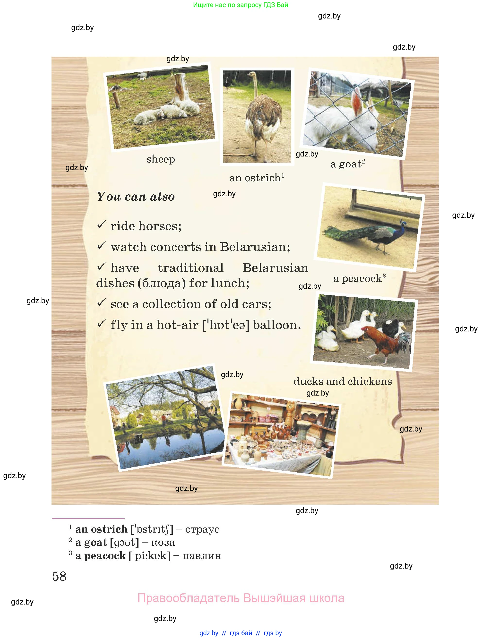 Английский язык (english), 5 класс Учебник (Student's book), авторы: Лапицкая Людмила Михайловна (Lapitskaya Ludmila), Калишевич Алла Ивановна, Севрюкова Татьяна Юрьевна, Седунова Наталья Михайловна (Sedunova Natalia), издательство Вышэйшая школа, Минск, 2020, Часть 2, страница 58