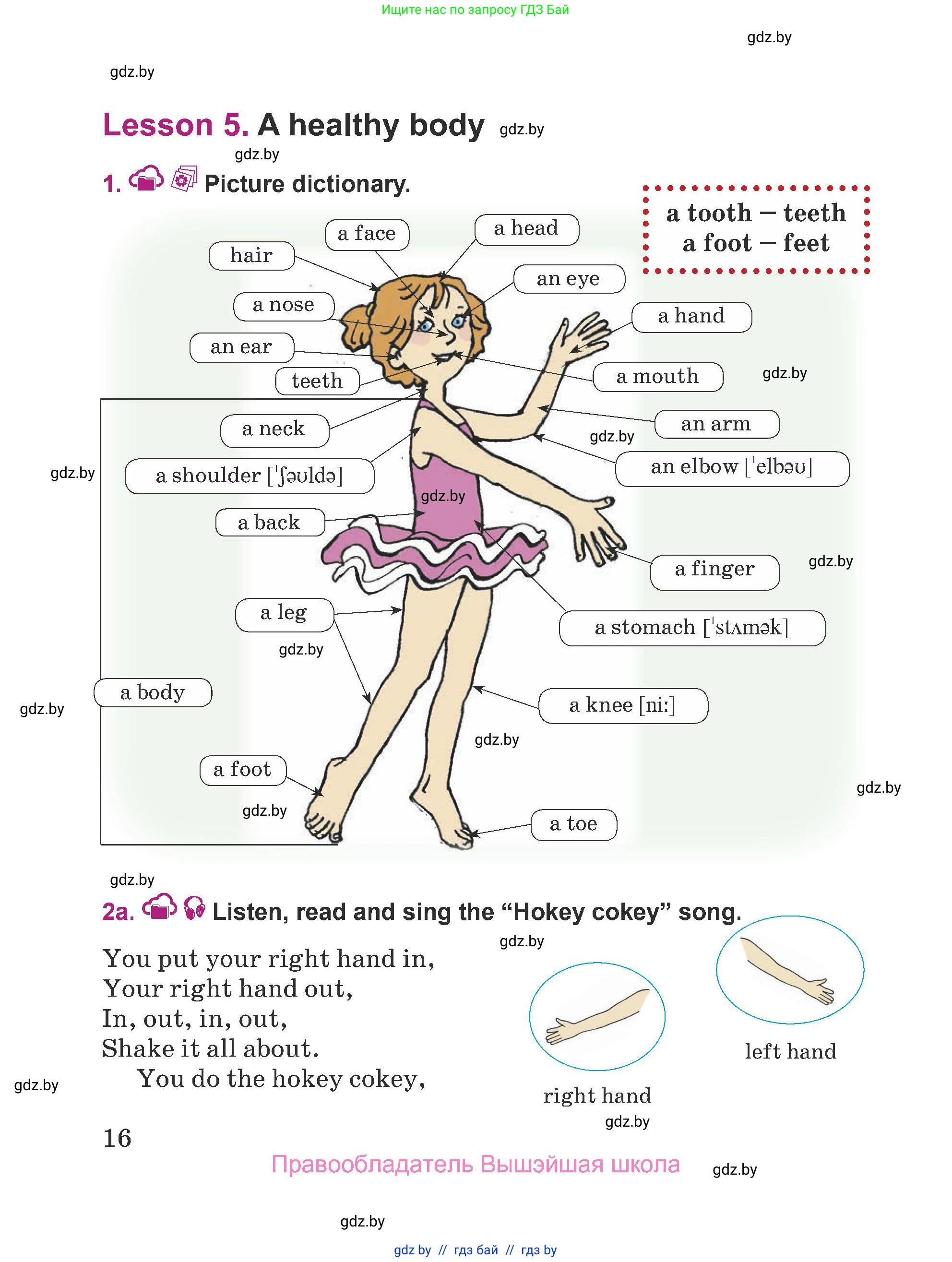Английский язык (english), 5 класс Учебник (Student's book), авторы: Лапицкая Людмила Михайловна (Lapitskaya Ludmila), Калишевич Алла Ивановна, Севрюкова Татьяна Юрьевна, Седунова Наталья Михайловна (Sedunova Natalia), издательство Вышэйшая школа, Минск, 2020, Часть 1, страница 16