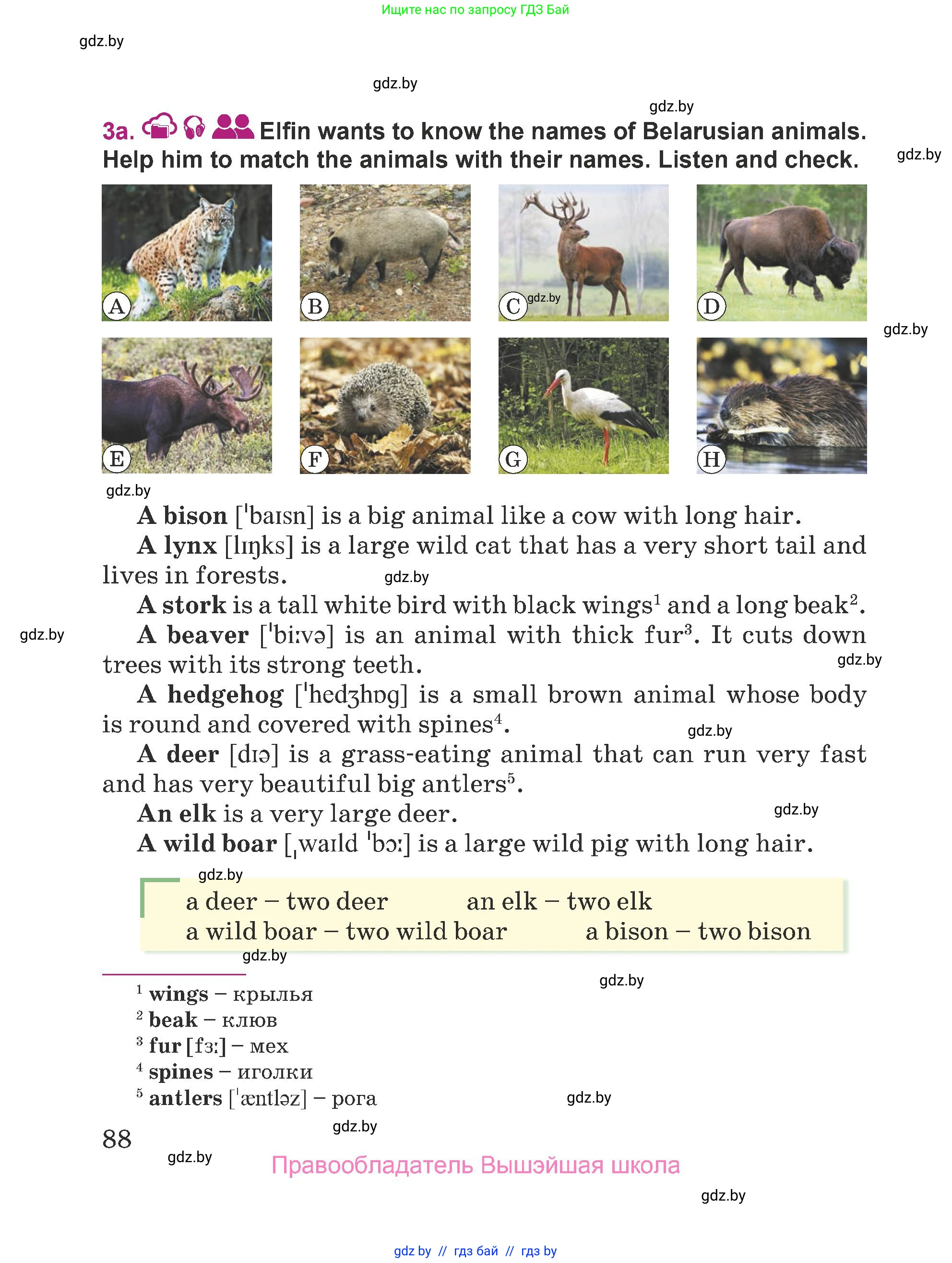 Английский язык (english), 5 класс Учебник (Student's book), авторы: Лапицкая Людмила Михайловна (Lapitskaya Ludmila), Калишевич Алла Ивановна, Севрюкова Татьяна Юрьевна, Седунова Наталья Михайловна (Sedunova Natalia), издательство Вышэйшая школа, Минск, 2020, Часть 2, страница 88