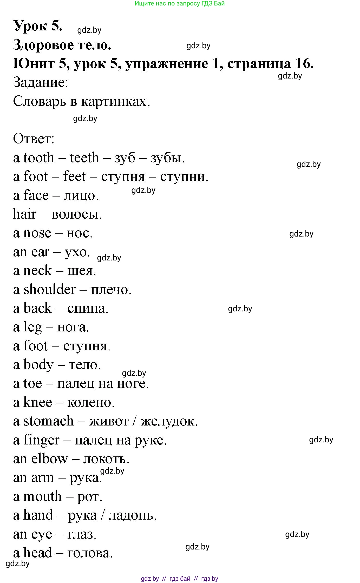 Английский язык (english), 5 класс Учебник (Student's book), авторы: Лапицкая Людмила Михайловна (Lapitskaya Ludmila), Калишевич Алла Ивановна, Севрюкова Татьяна Юрьевна, Седунова Наталья Михайловна (Sedunova Natalia), издательство Вышэйшая школа, Минск, 2020, Часть 2, страница 16, номер 1, Решение 1
