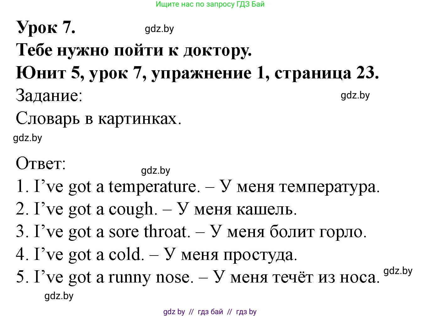 Английский язык (english), 5 класс Учебник (Student's book), авторы: Лапицкая Людмила Михайловна (Lapitskaya Ludmila), Калишевич Алла Ивановна, Севрюкова Татьяна Юрьевна, Седунова Наталья Михайловна (Sedunova Natalia), издательство Вышэйшая школа, Минск, 2020, Часть 2, страница 23, номер 1, Решение 1
