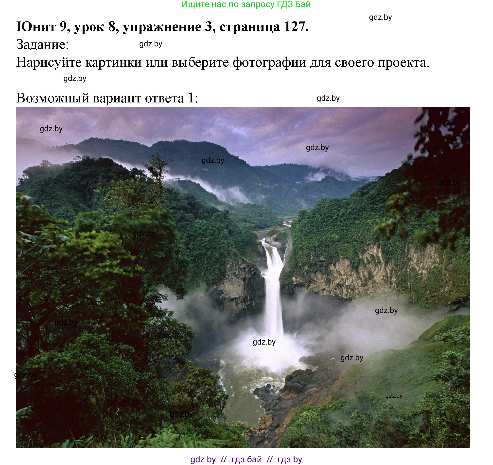 Английский язык (english), 5 класс Учебник (Student's book), авторы: Лапицкая Людмила Михайловна (Lapitskaya Ludmila), Калишевич Алла Ивановна, Севрюкова Татьяна Юрьевна, Седунова Наталья Михайловна (Sedunova Natalia), издательство Вышэйшая школа, Минск, 2020, Часть 2, страница 127, номер 3, Решение 1