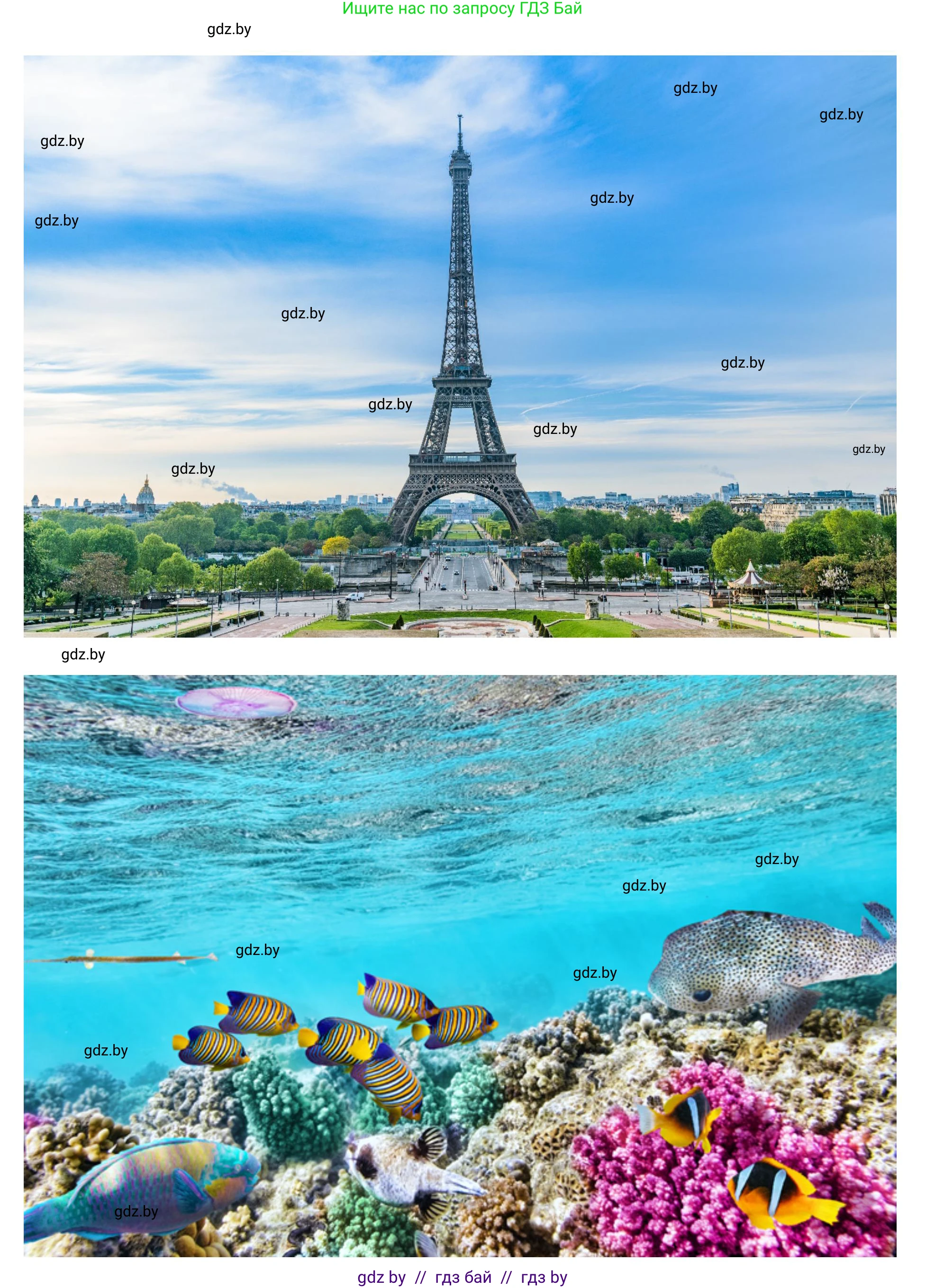 Английский язык (english), 5 класс Учебник (Student's book), авторы: Лапицкая Людмила Михайловна (Lapitskaya Ludmila), Калишевич Алла Ивановна, Севрюкова Татьяна Юрьевна, Седунова Наталья Михайловна (Sedunova Natalia), издательство Вышэйшая школа, Минск, 2020, Часть 2, страница 127, номер 3, Решение 1 (продолжение 5)