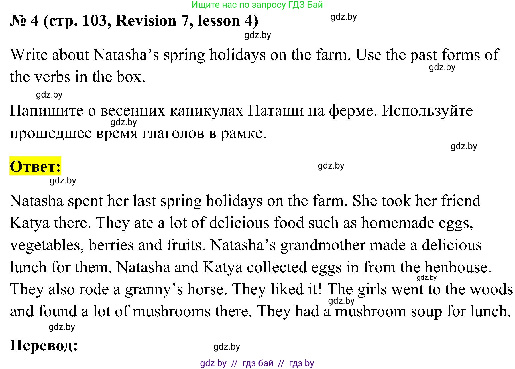 Английский язык (english), 5 класс практикум по грамматике (grammar), автор: Севрюкова Татьяна Юрьевна, издательство Аверсэв, Минск, 2023, оранжевого цвета, страница 103, номер 4, Решение