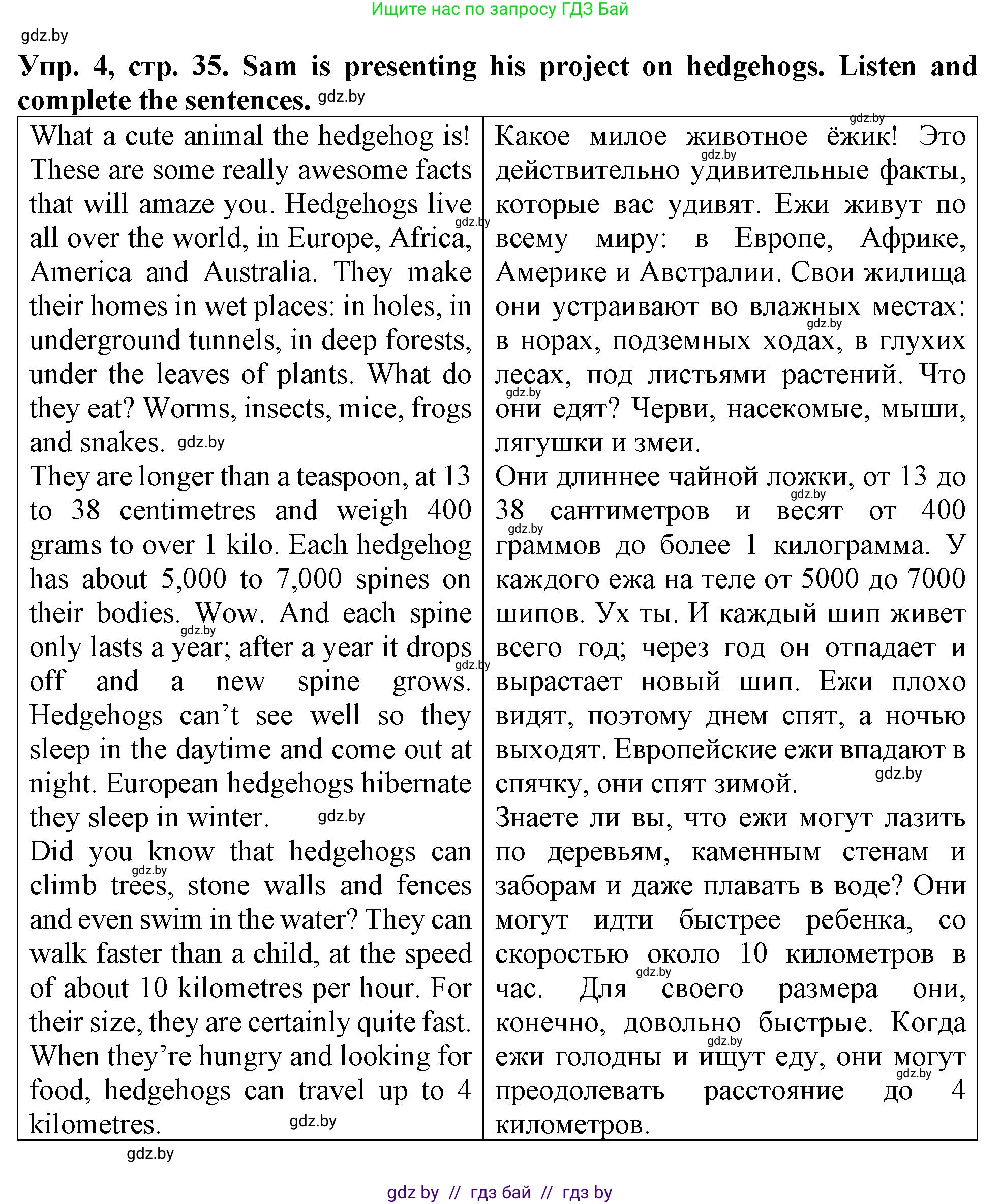 Английский язык (english), 6 класс тесты (test book), авторы: Севрюкова Татьяна Юрьевна, Калишевич Алла Ивановна, издательство Аверсэв, Минск, 2022, оранжевого цвета, страница 35, номер 4, Решение