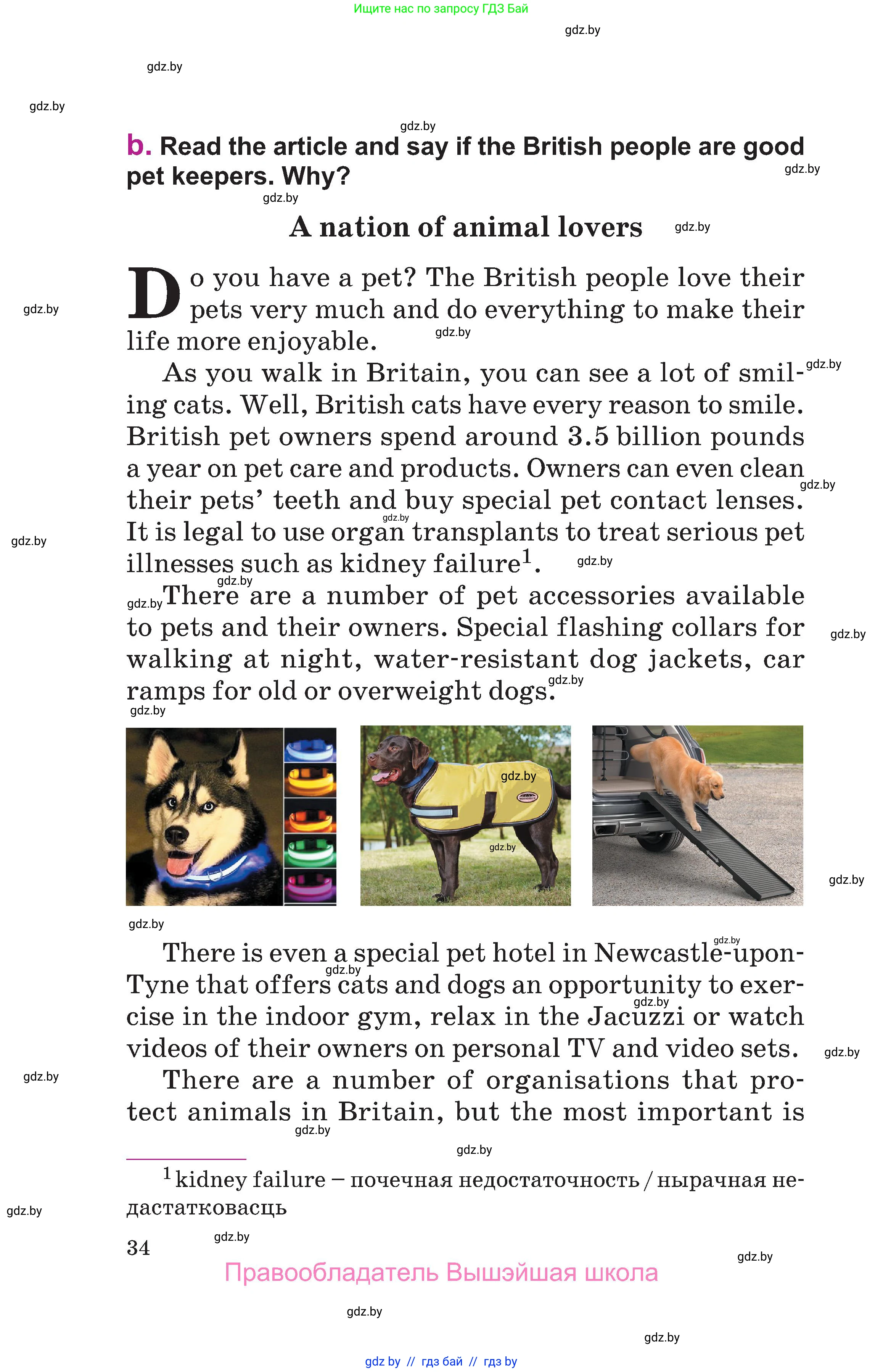 Английский язык (english), 6 класс Учебник, авторы: Демченко Наталья Валентиновна, Севрюкова Татьяна Юрьевна, Юхнель Наталья Валентиновна, Наумова Елена Георгиевна, Рыбалко О Н, Манешина А В, Маслёнченко Н А, издательство Вышэйшая школа, Минск, 2018, красного цвета, страница 34