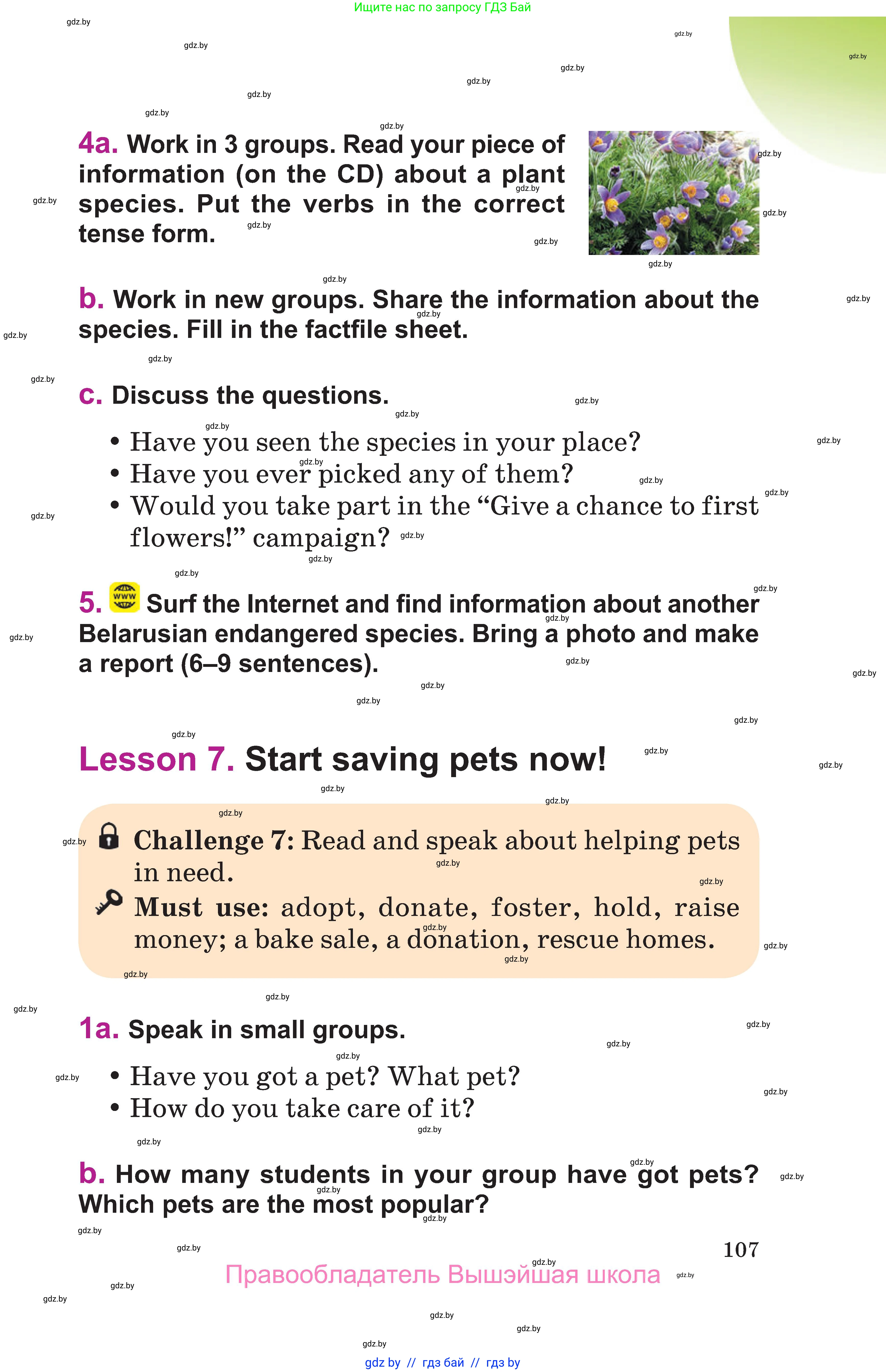 Английский язык (english), 6 класс Учебник, авторы: Демченко Наталья Валентиновна, Севрюкова Татьяна Юрьевна, Юхнель Наталья Валентиновна, Наумова Елена Георгиевна, Рыбалко О Н, Манешина А В, Маслёнченко Н А, издательство Вышэйшая школа, Минск, 2018, красного цвета, Часть 1, страница 107