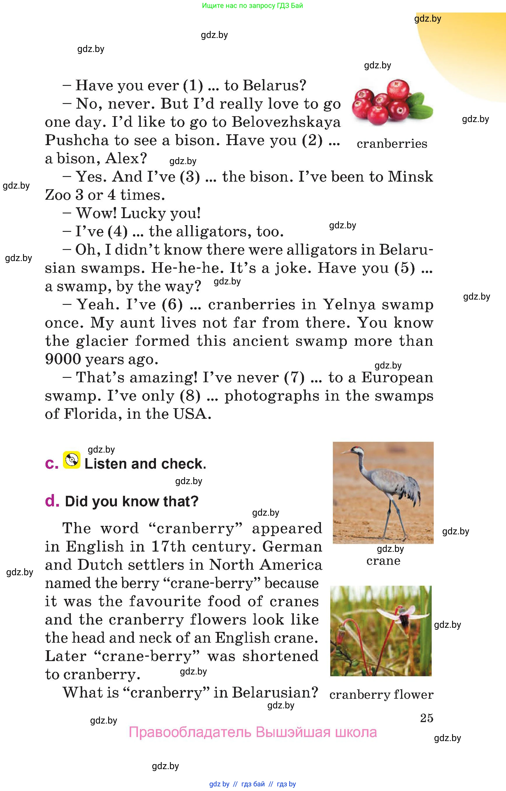 Английский язык (english), 6 класс Учебник, авторы: Демченко Наталья Валентиновна, Севрюкова Татьяна Юрьевна, Юхнель Наталья Валентиновна, Наумова Елена Георгиевна, Рыбалко О Н, Манешина А В, Маслёнченко Н А, издательство Вышэйшая школа, Минск, 2018, красного цвета, страница 25