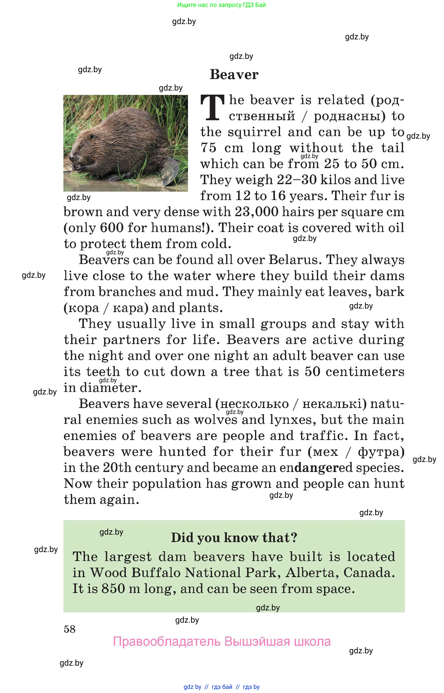 Английский язык (english), 6 класс Учебник, авторы: Демченко Наталья Валентиновна, Севрюкова Татьяна Юрьевна, Юхнель Наталья Валентиновна, Наумова Елена Георгиевна, Рыбалко О Н, Манешина А В, Маслёнченко Н А, издательство Вышэйшая школа, Минск, 2018, красного цвета, страница 58