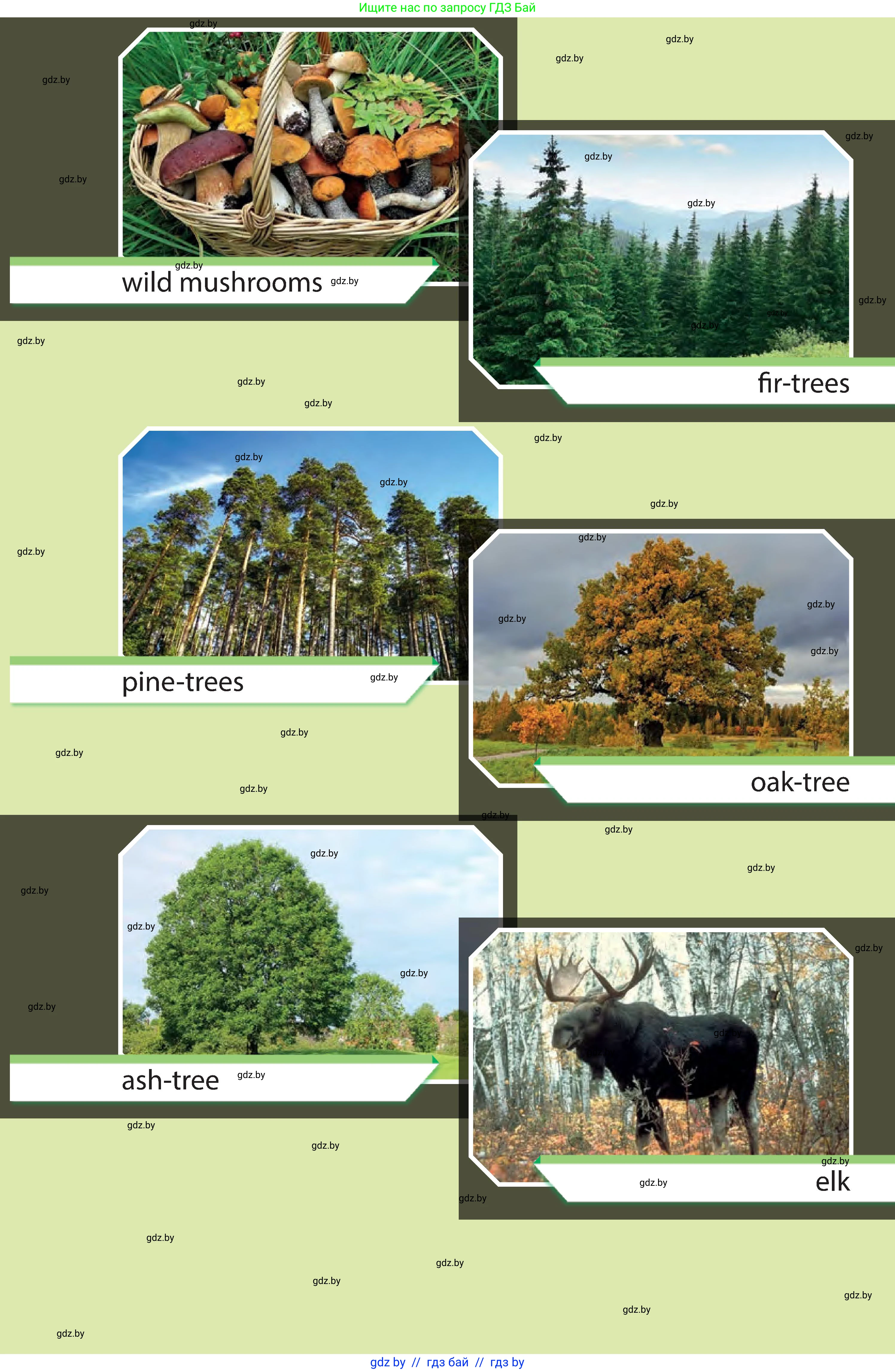 Английский язык (english), 6 класс Учебник, авторы: Юхнель Наталья Валентиновна, Наумова Елена Георгиевна, Малиновская Елена Александровна, издательство Адукацыя i выхаванне, Минск, 2021, 