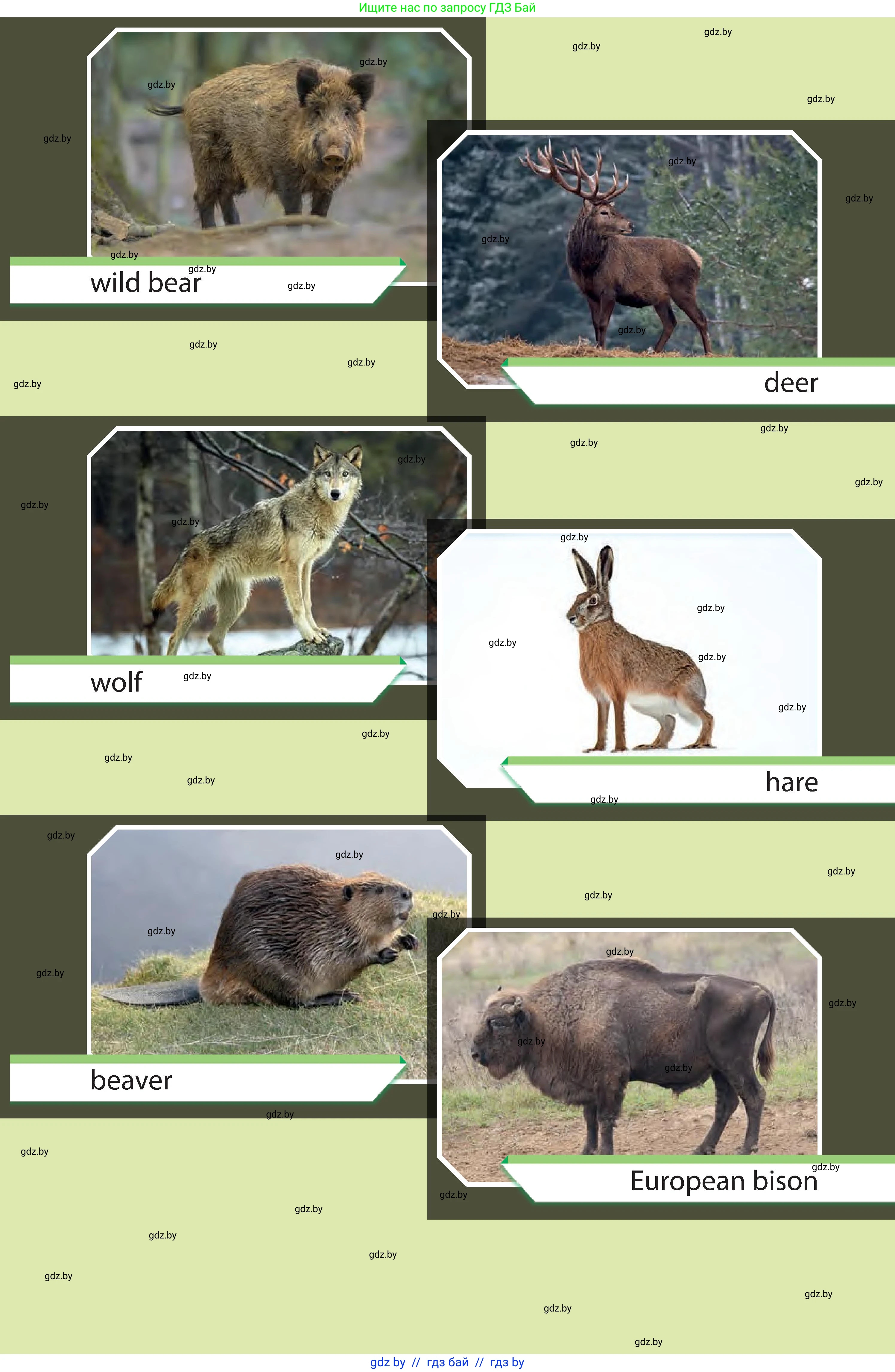 Английский язык (english), 6 класс Учебник, авторы: Юхнель Наталья Валентиновна, Наумова Елена Георгиевна, Малиновская Елена Александровна, издательство Адукацыя i выхаванне, Минск, 2021, 