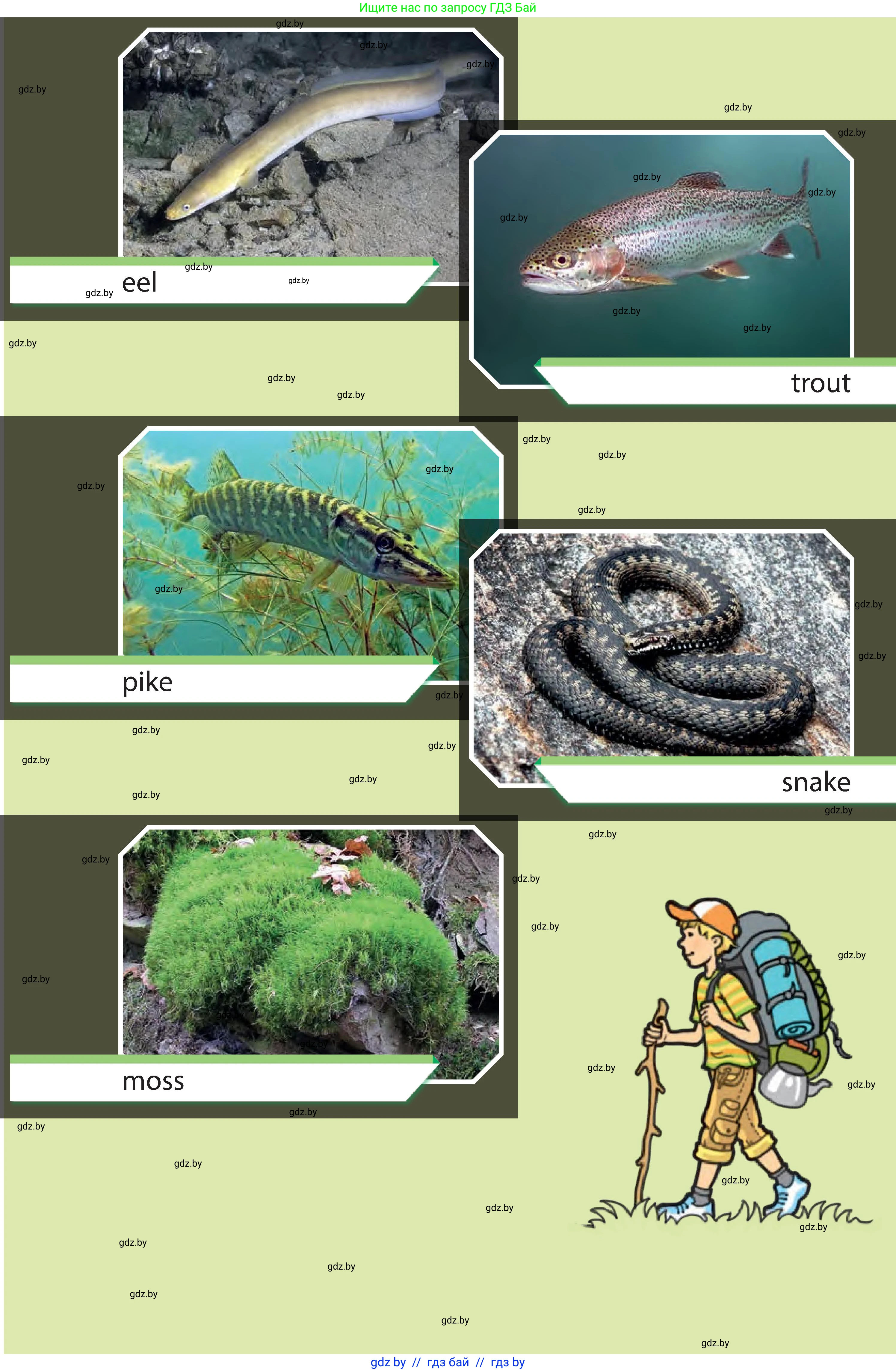 Английский язык (english), 6 класс Учебник, авторы: Юхнель Наталья Валентиновна, Наумова Елена Георгиевна, Малиновская Елена Александровна, издательство Адукацыя i выхаванне, Минск, 2021, 