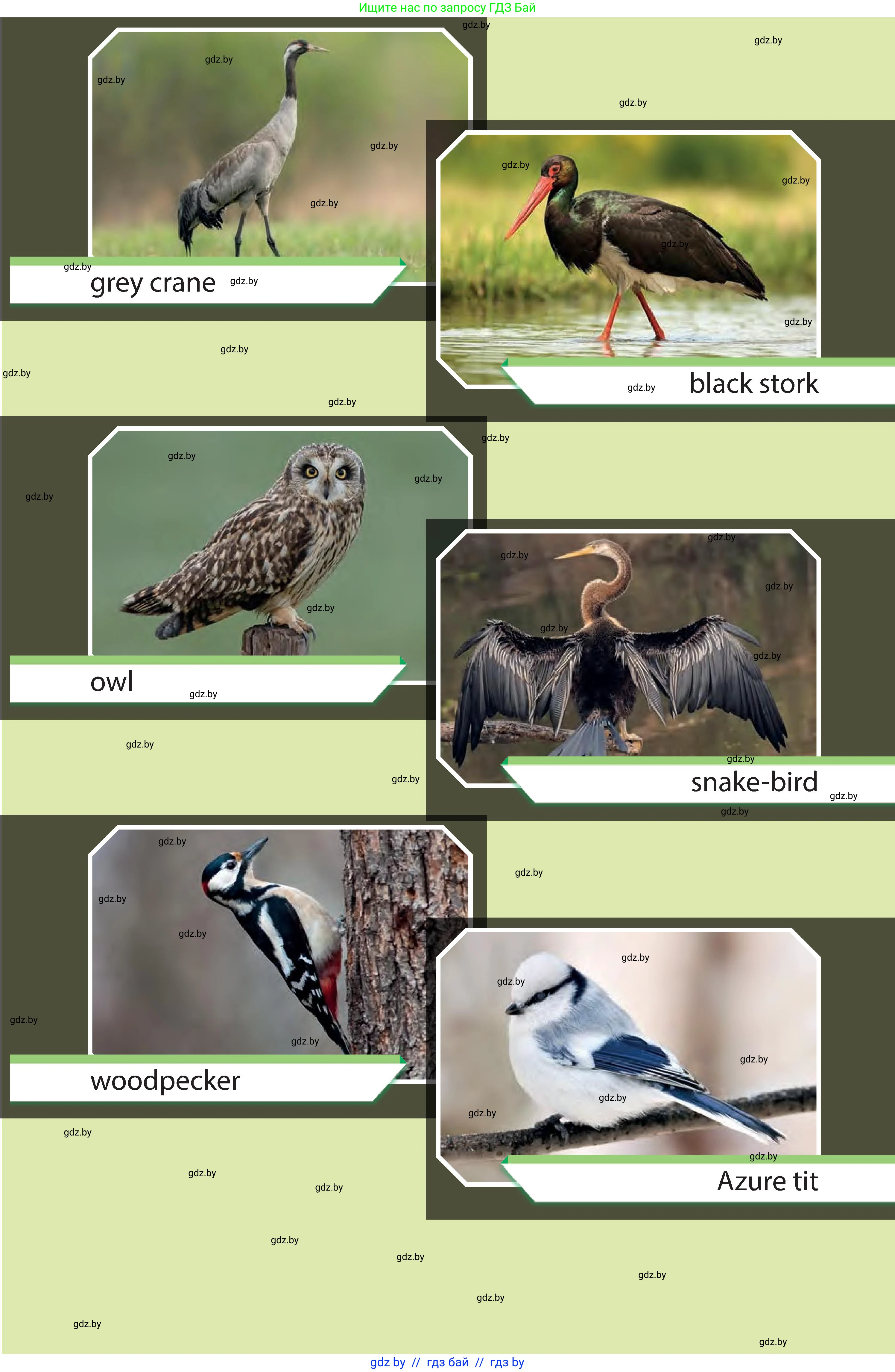 Английский язык (english), 6 класс Учебник, авторы: Юхнель Наталья Валентиновна, Наумова Елена Георгиевна, Малиновская Елена Александровна, издательство Адукацыя i выхаванне, Минск, 2021, 